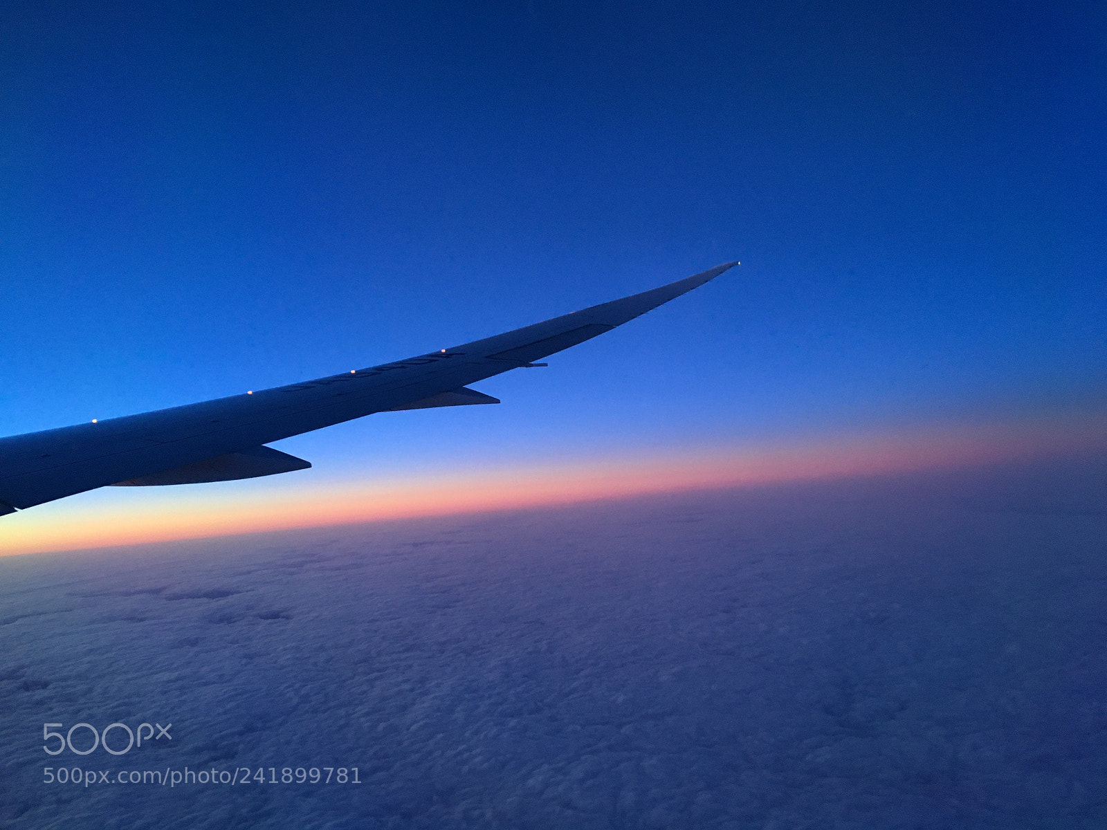 Apple iPhone 6s Plus sample photo. Fly away. i always photography