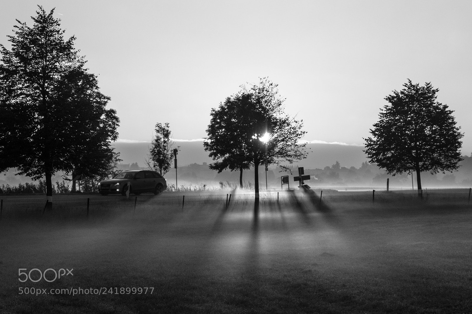 Fujifilm X-E1 sample photo. Morning drive photography