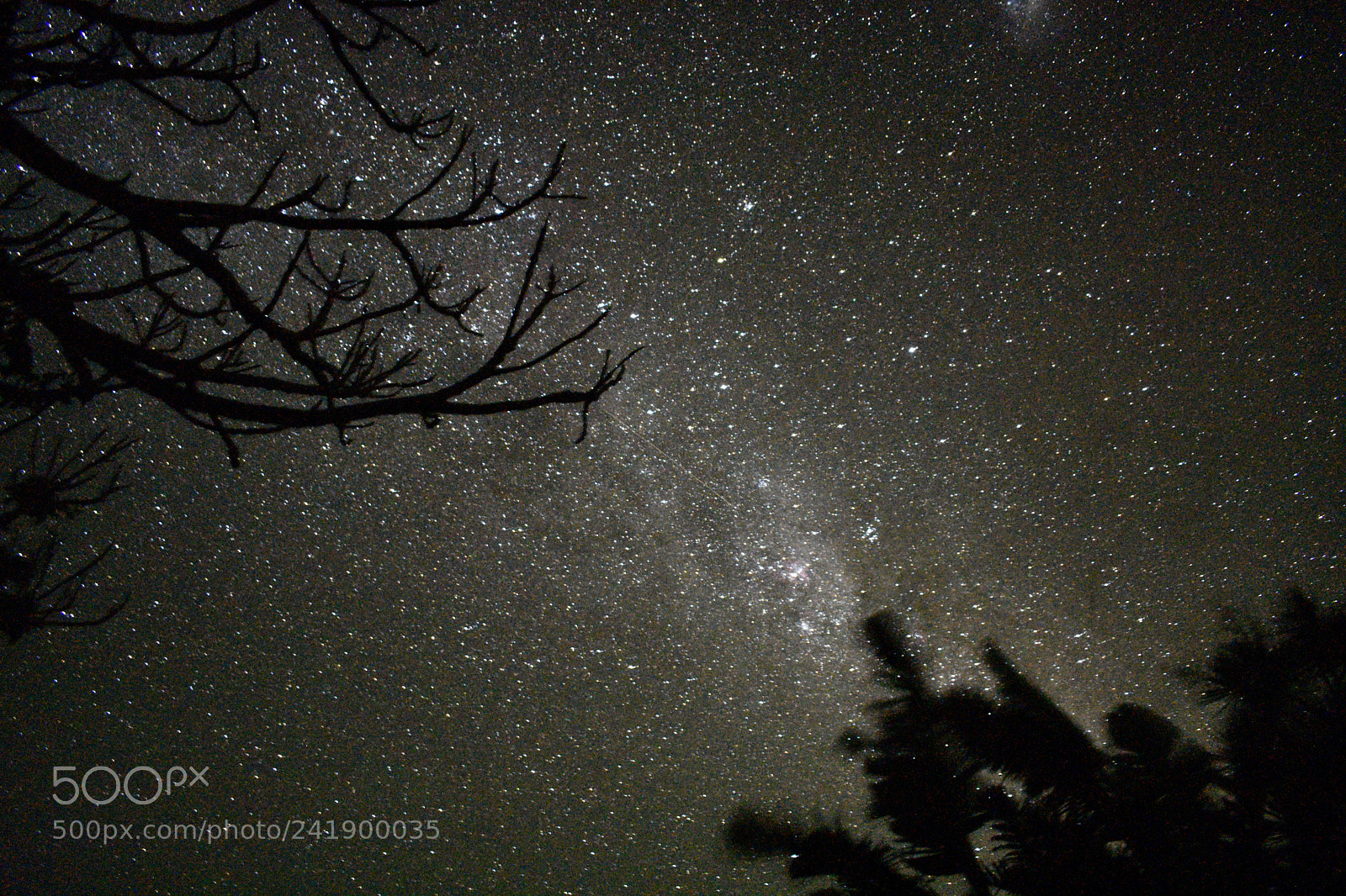 Nikon D3400 sample photo. Milky way of the photography