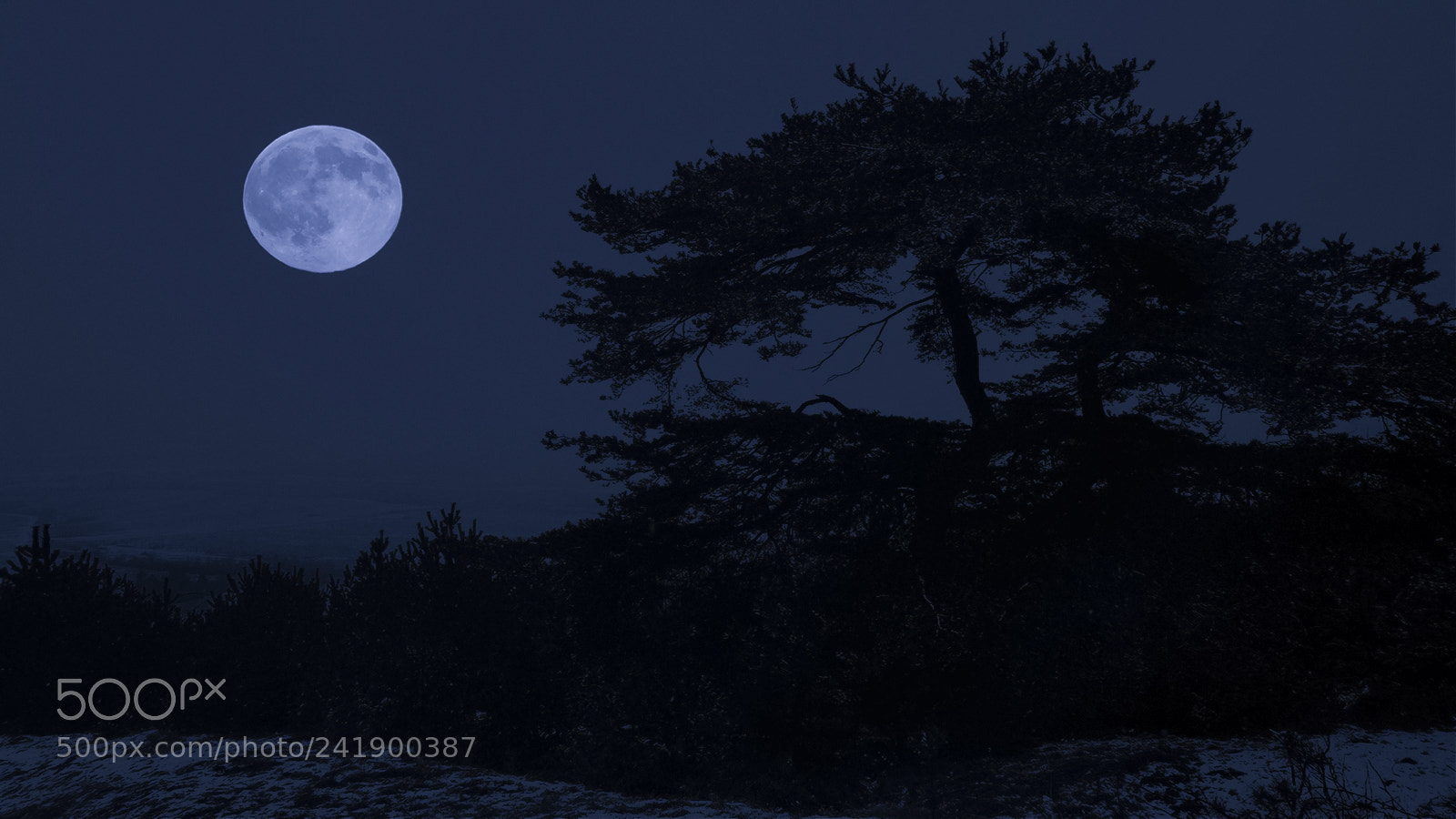 Olympus PEN E-P1 sample photo. Moon photography