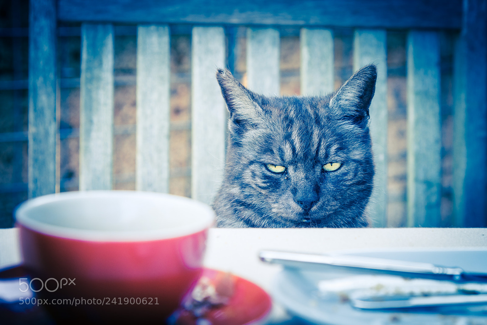 Nikon D810 sample photo. Where is my coffee??? photography