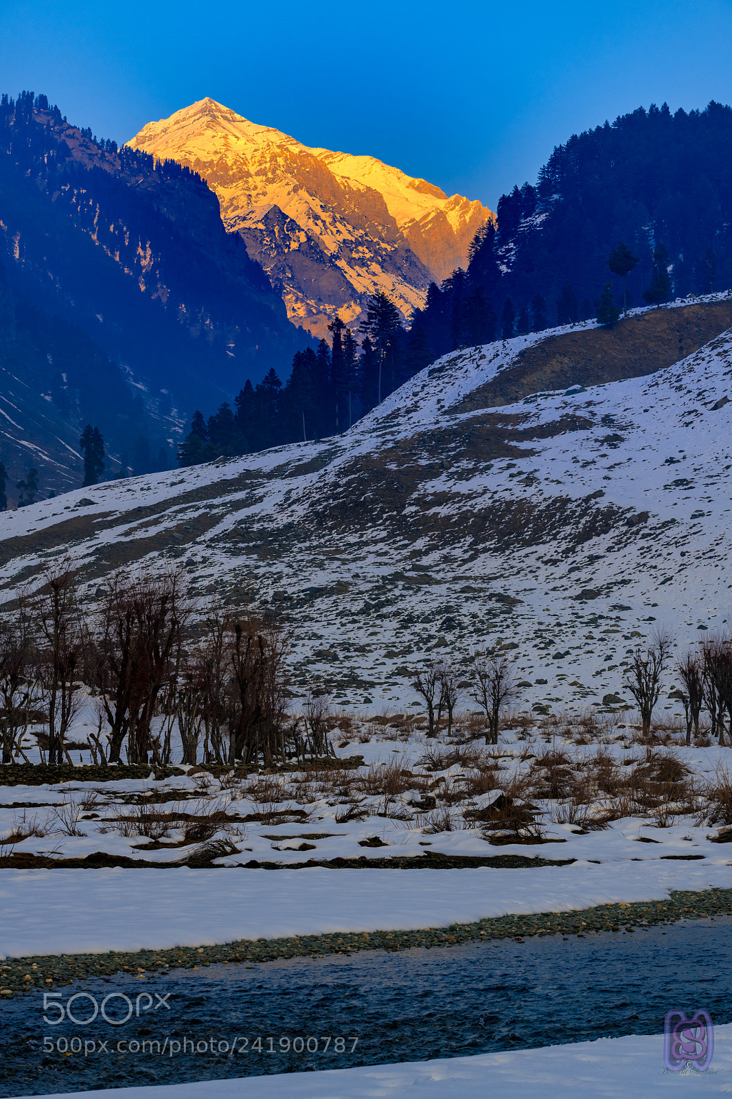 Nikon D850 sample photo. Golden hues of himalayas photography