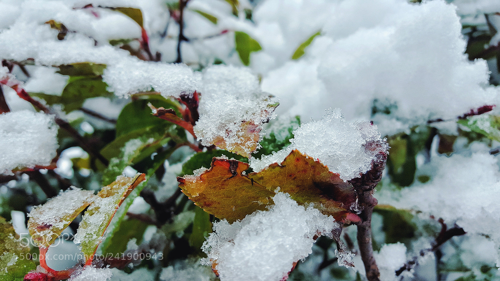 Samsung Galaxy S6 sample photo. Snowing photography