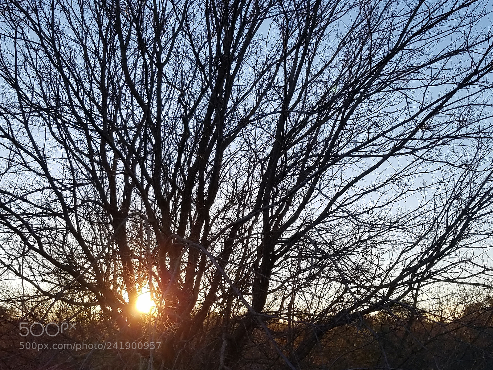 Samsung Galaxy S7 sample photo. Ltc photography