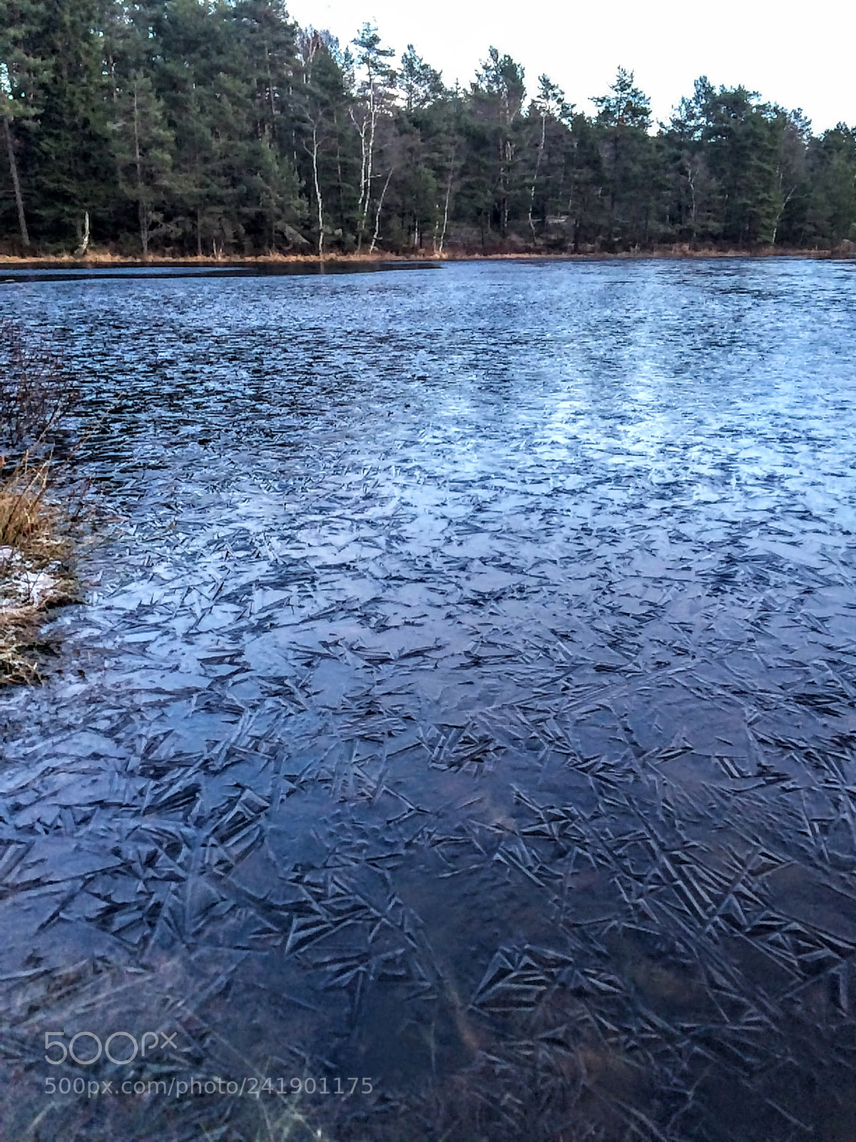 Apple iPhone 5s sample photo. Ice is being created photography