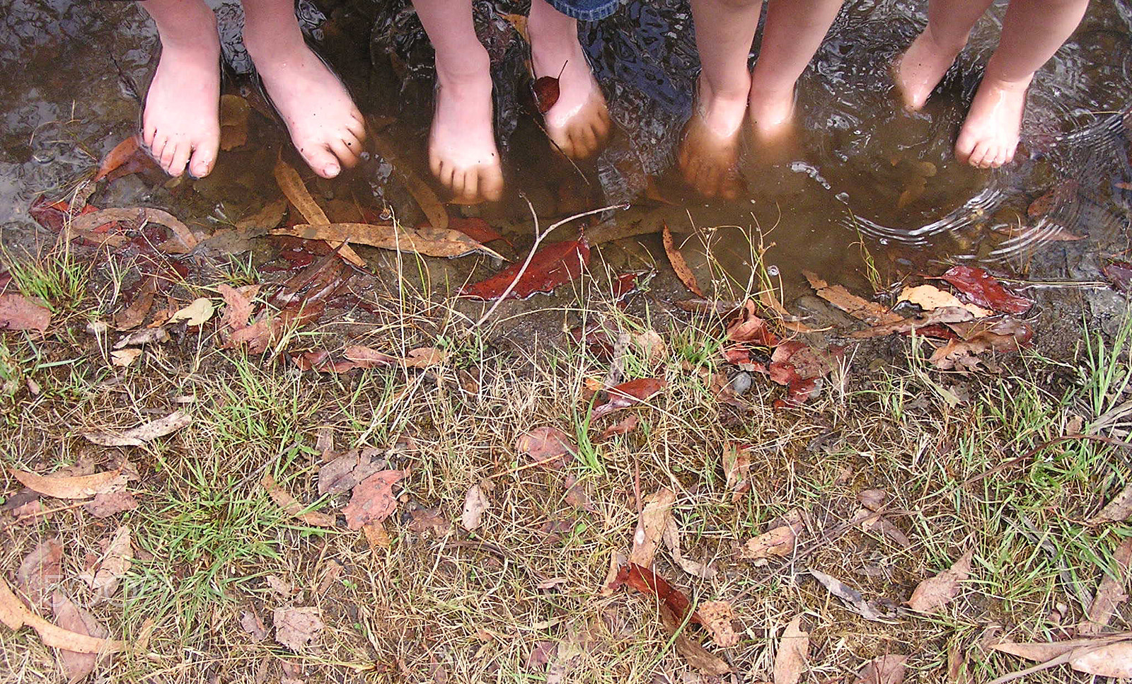 Olympus C740UZ sample photo. Muddy feet photography