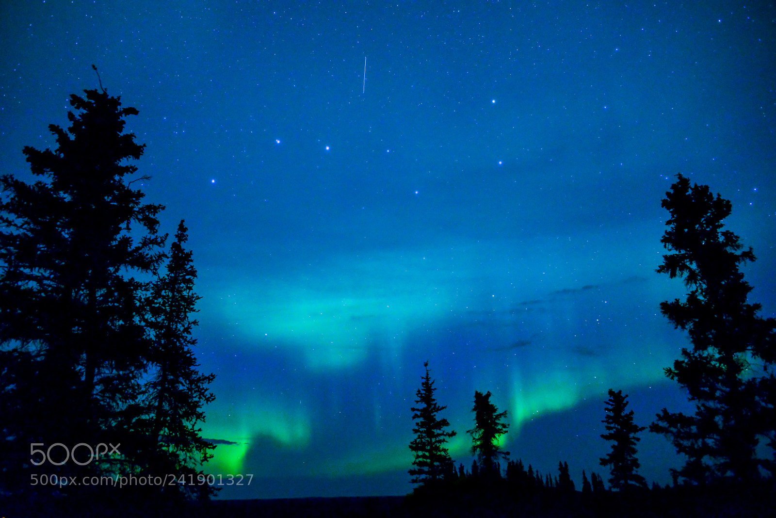Nikon D800 sample photo. Aurora with the big photography