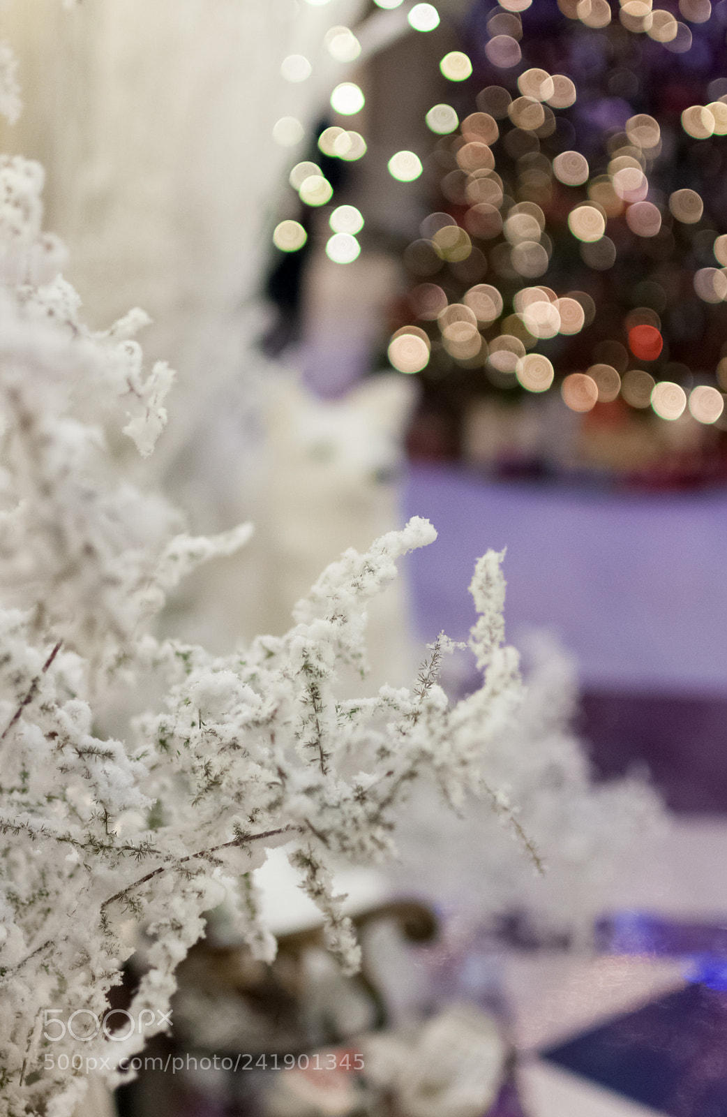 Nikon D90 sample photo. Waiting for a miracle photography