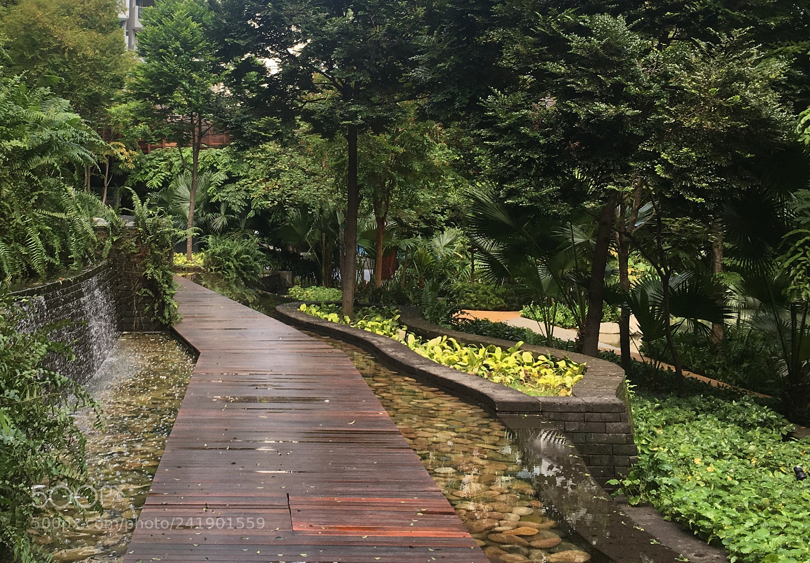 Apple iPhone 6s sample photo. 04. serangoon photography