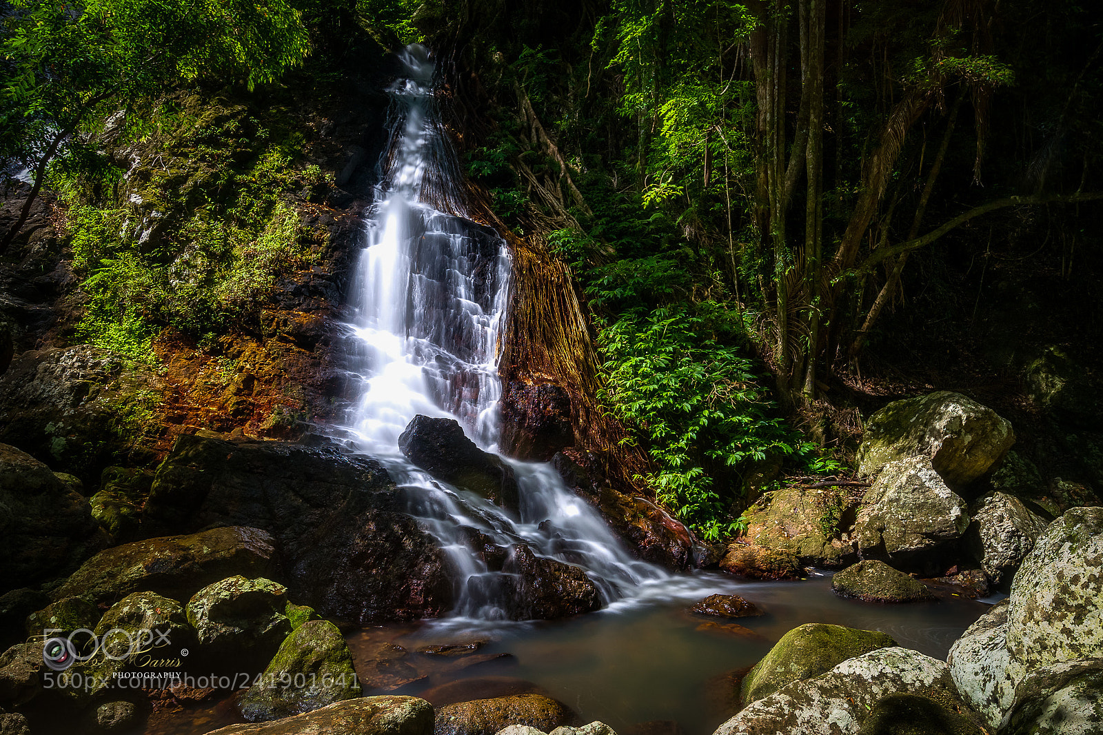 Sony a7 II sample photo. Kondalilla falls. photography