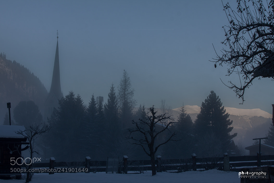 Canon EOS 500D (EOS Rebel T1i / EOS Kiss X3) sample photo. Foggy photography