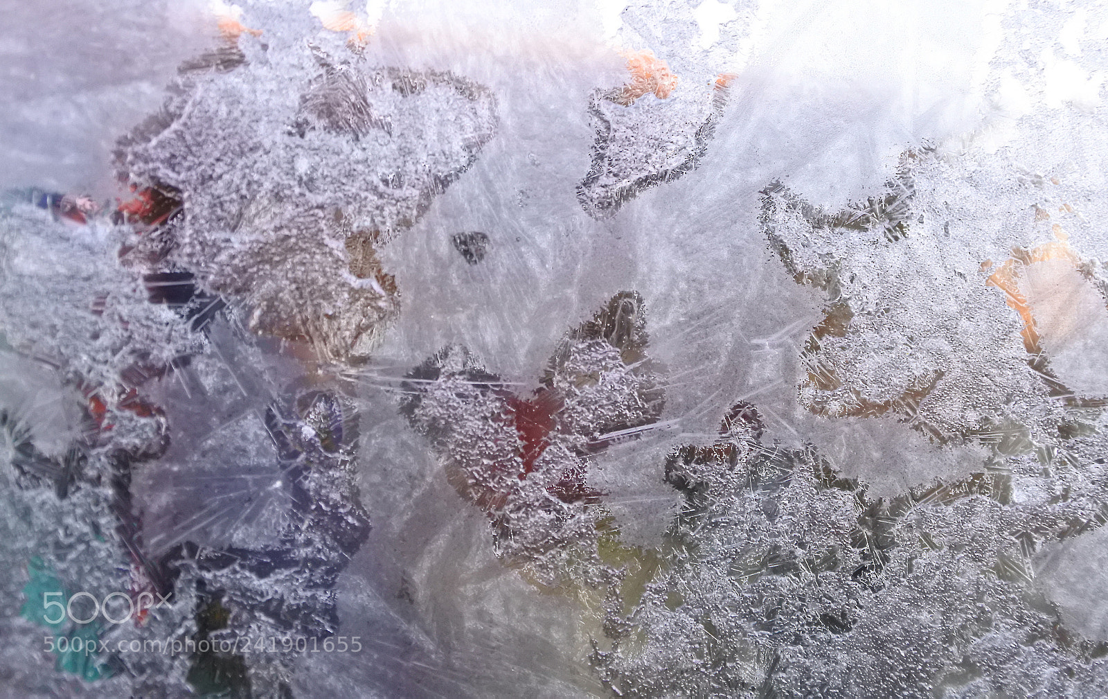 Nikon 1 J5 sample photo. Frost flowers on the photography