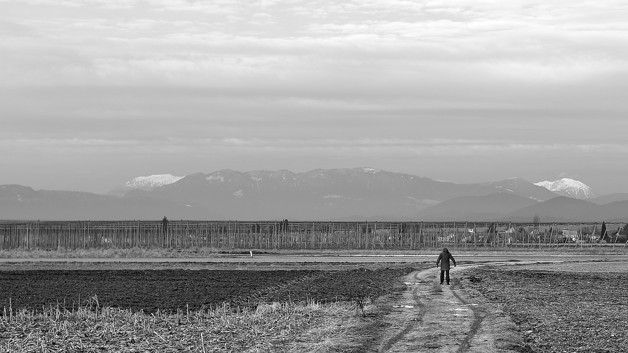 Nikon Df + Nikon AF-S Nikkor 50mm F1.8G sample photo. Longwayhome photography