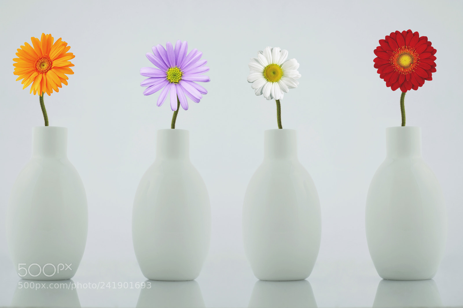 Fujifilm X-T1 sample photo. Four flowers photography