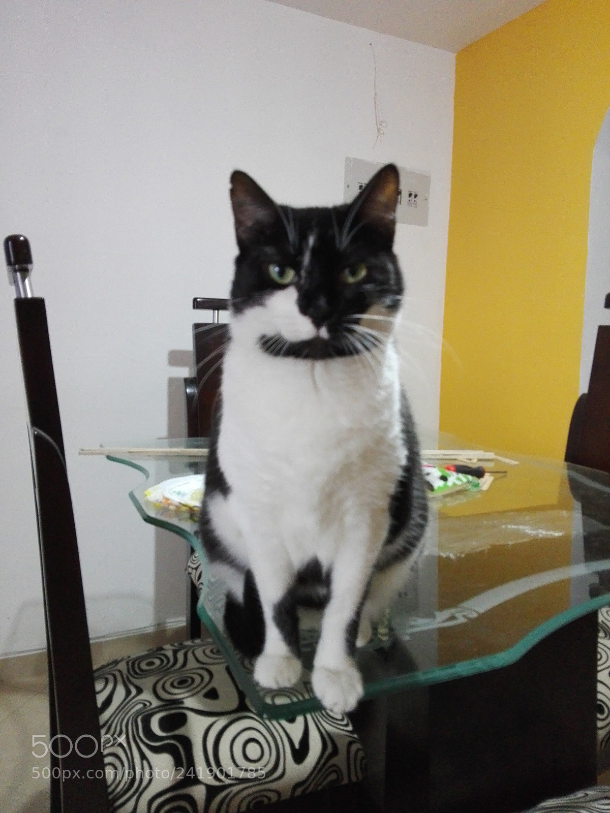 HUAWEI Y6II sample photo. Img_20161119_155824.jpg photography