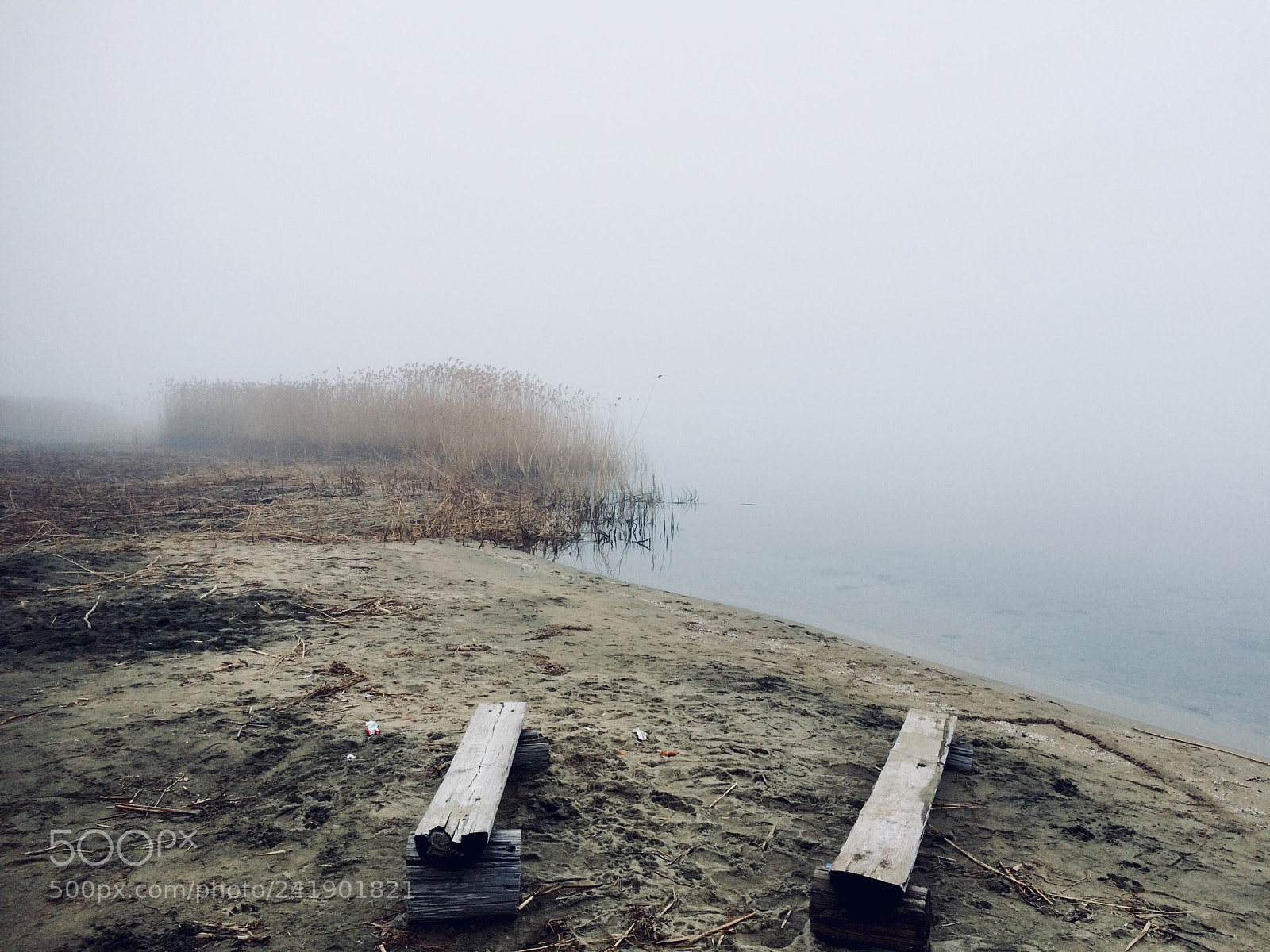 Apple iPhone 5s sample photo. Foggy time! photography