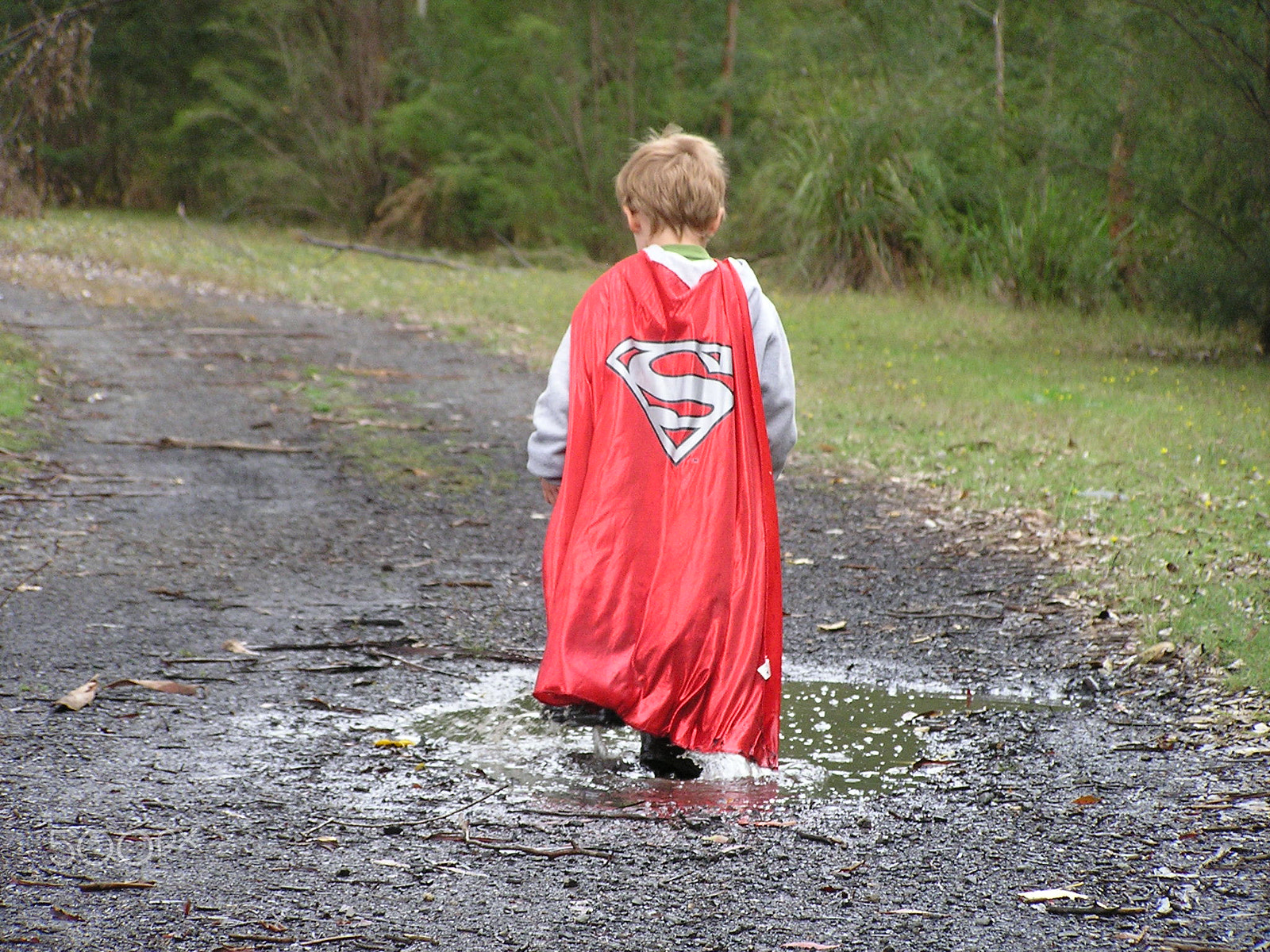 Olympus C740UZ sample photo. Super hero photography