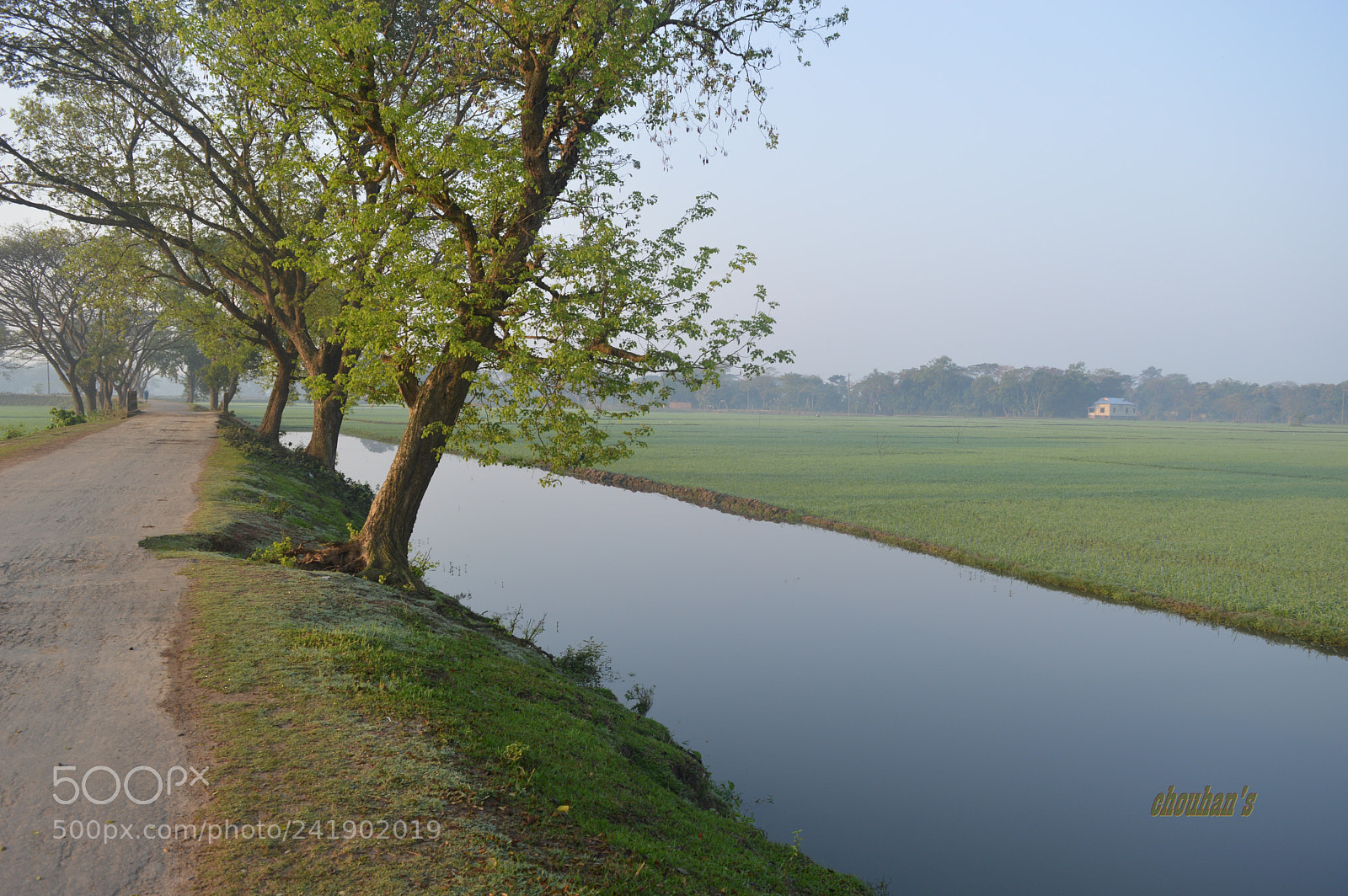 Nikon D3200 sample photo. Street view photography