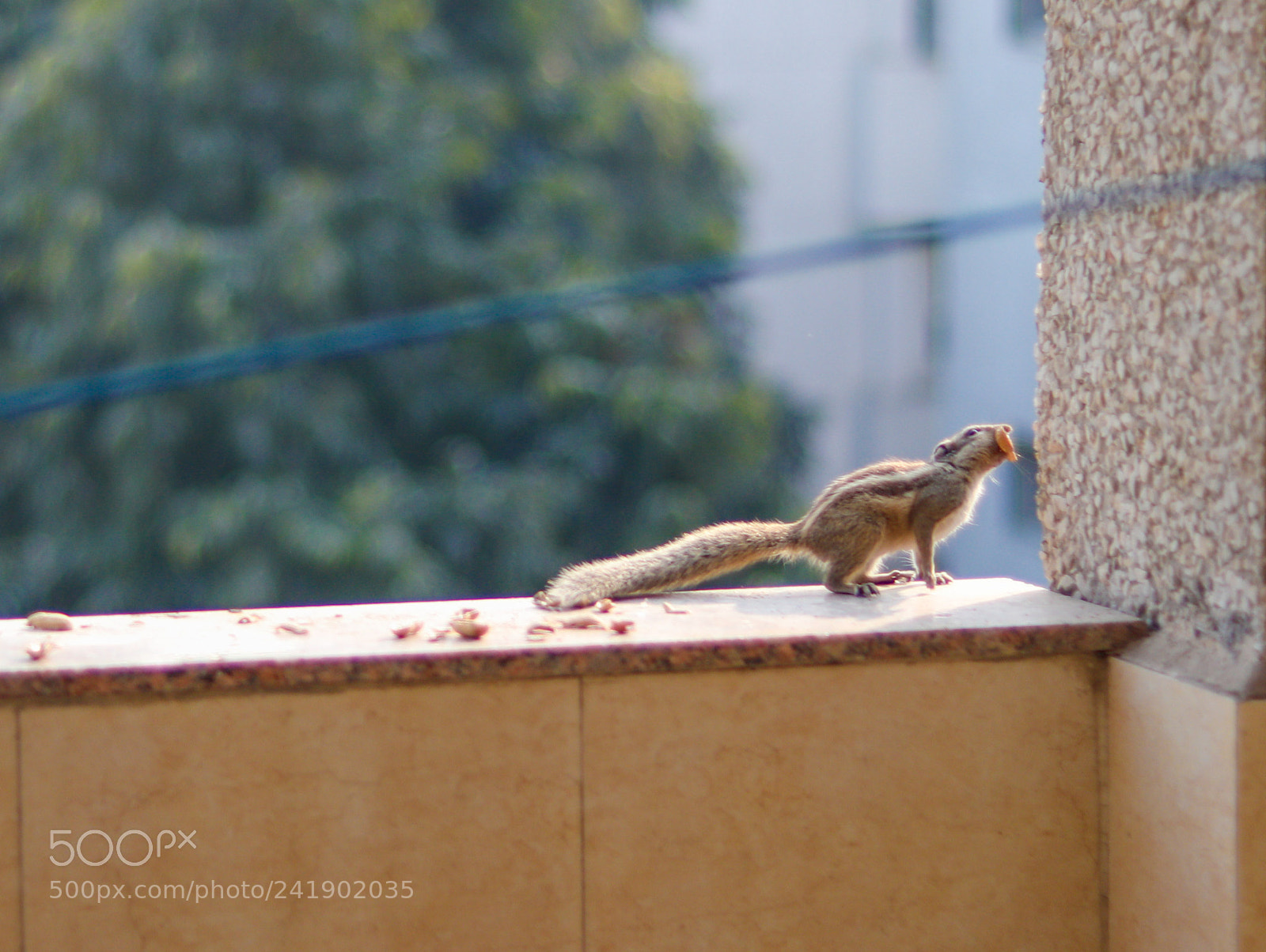 Canon EOS 77D (EOS 9000D / EOS 770D) sample photo. Running time photography