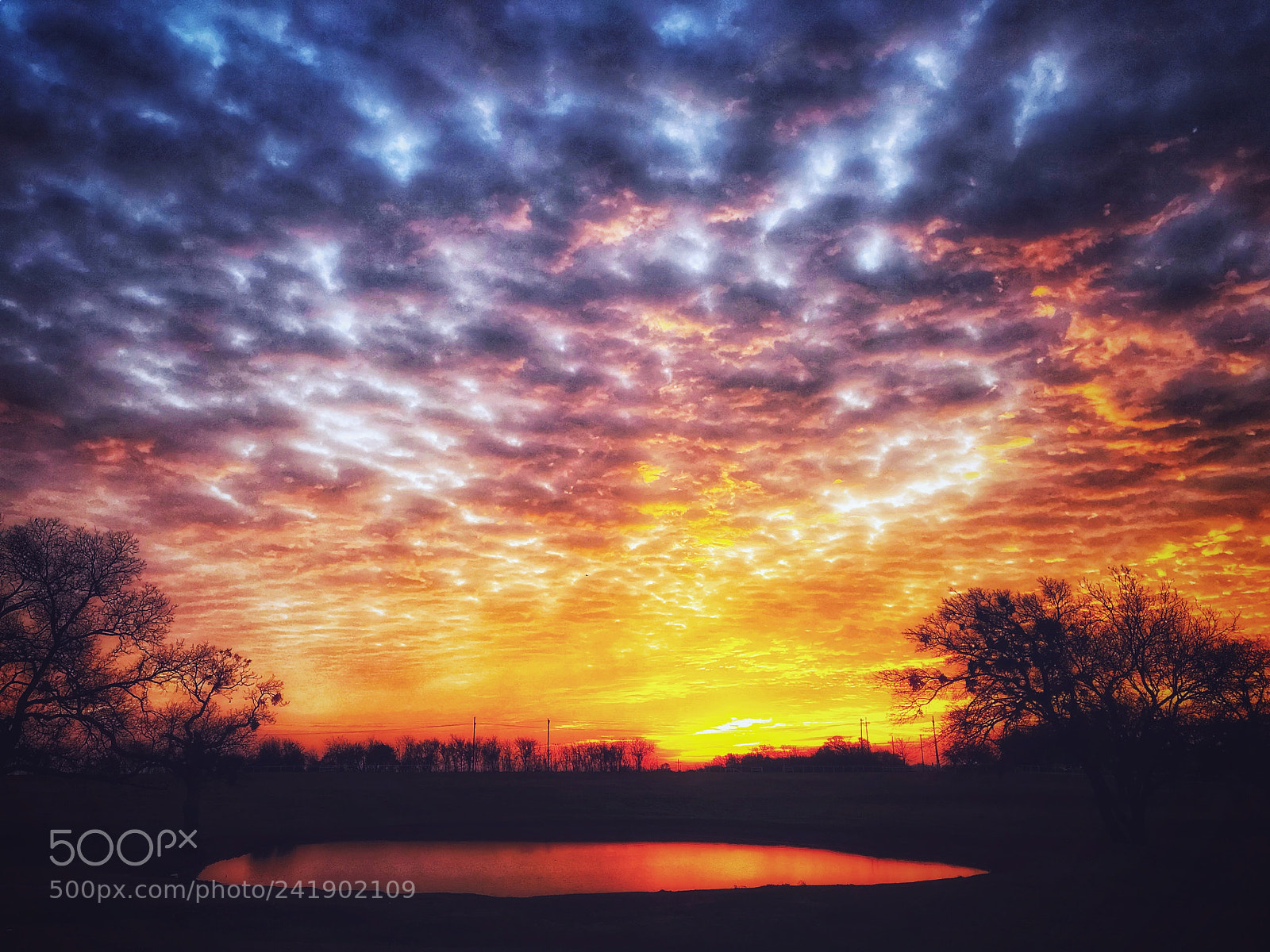 Apple iPhone 7 Plus sample photo. Red dawn photography