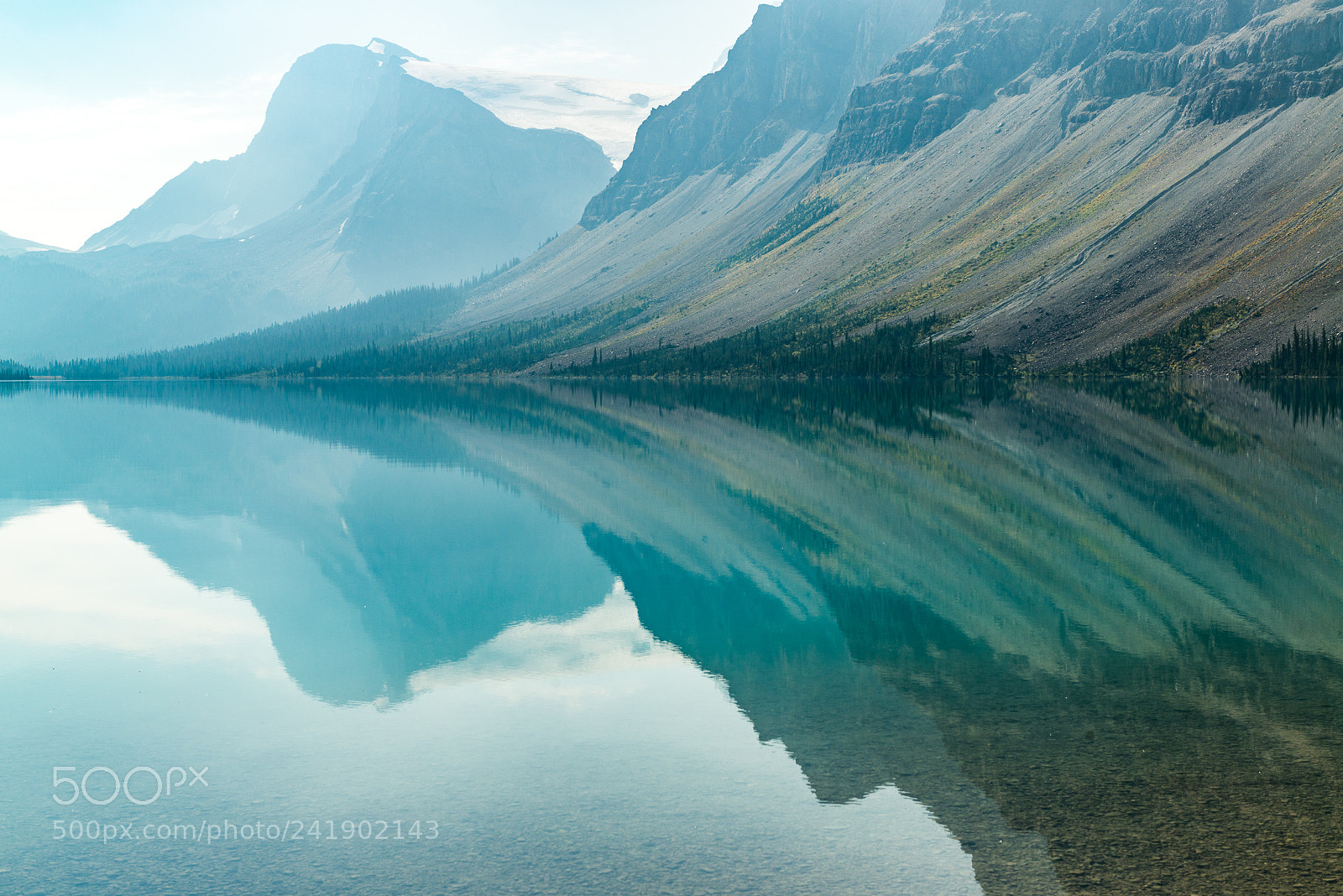 Nikon D800 sample photo. Bow lake, canada photography