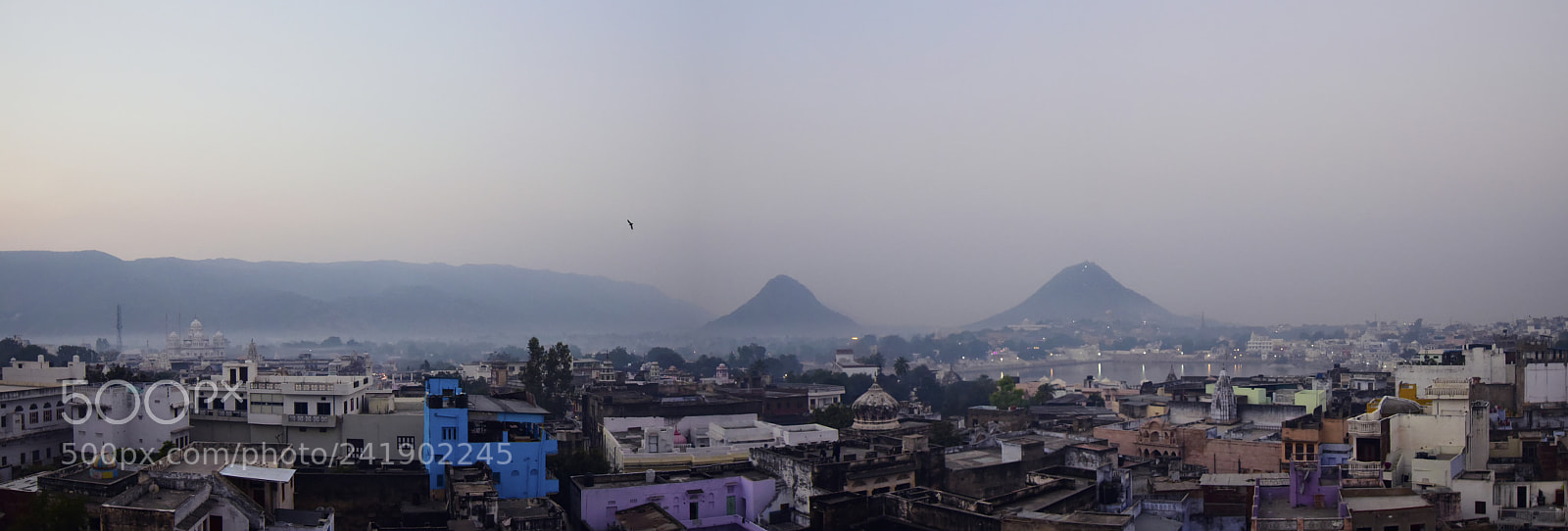 Nikon D810 sample photo. Pushkar photography