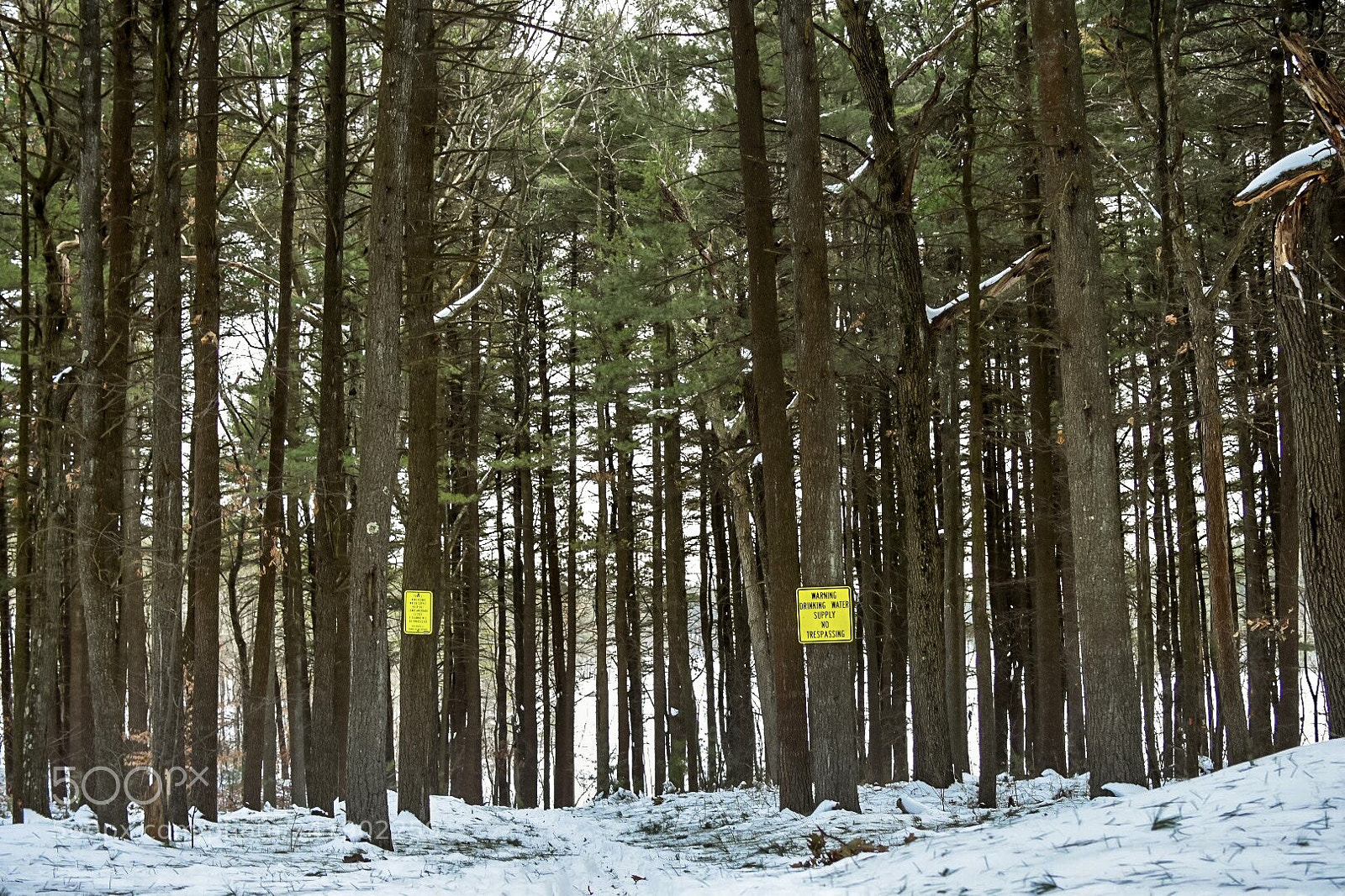 Nikon D7200 sample photo. Fresh air photography
