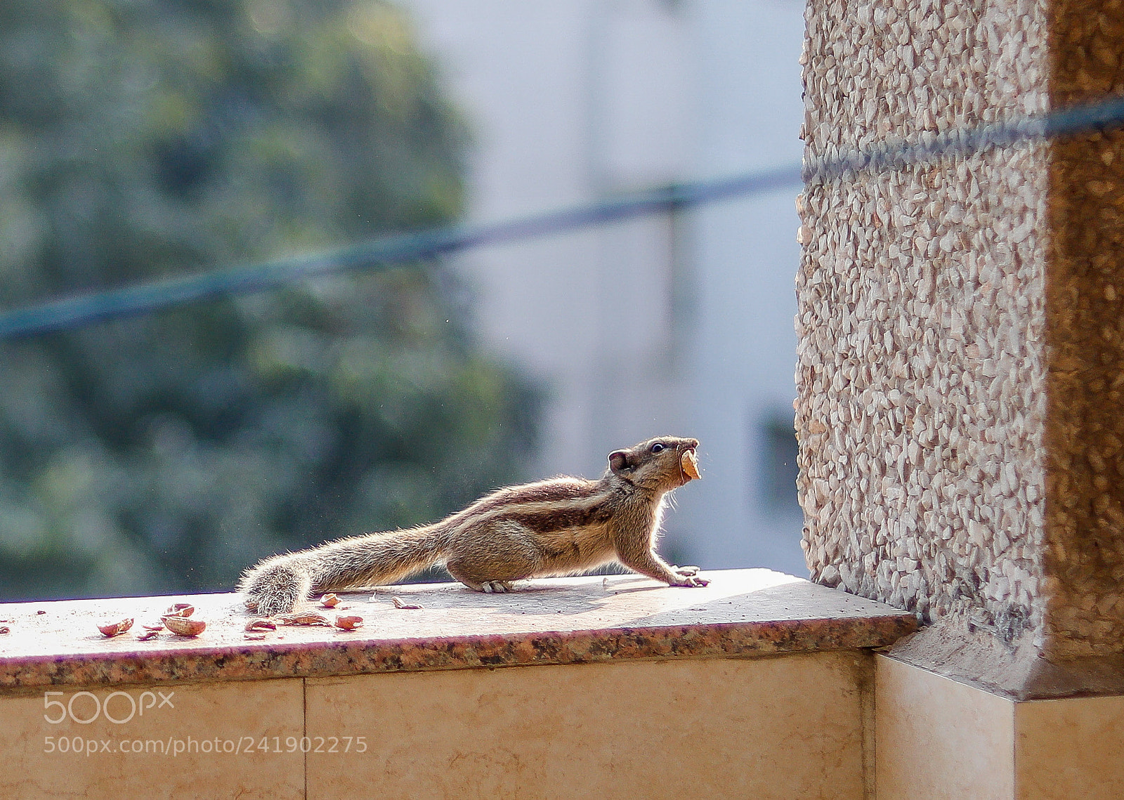 Canon EOS 77D (EOS 9000D / EOS 770D) sample photo. Jump photography