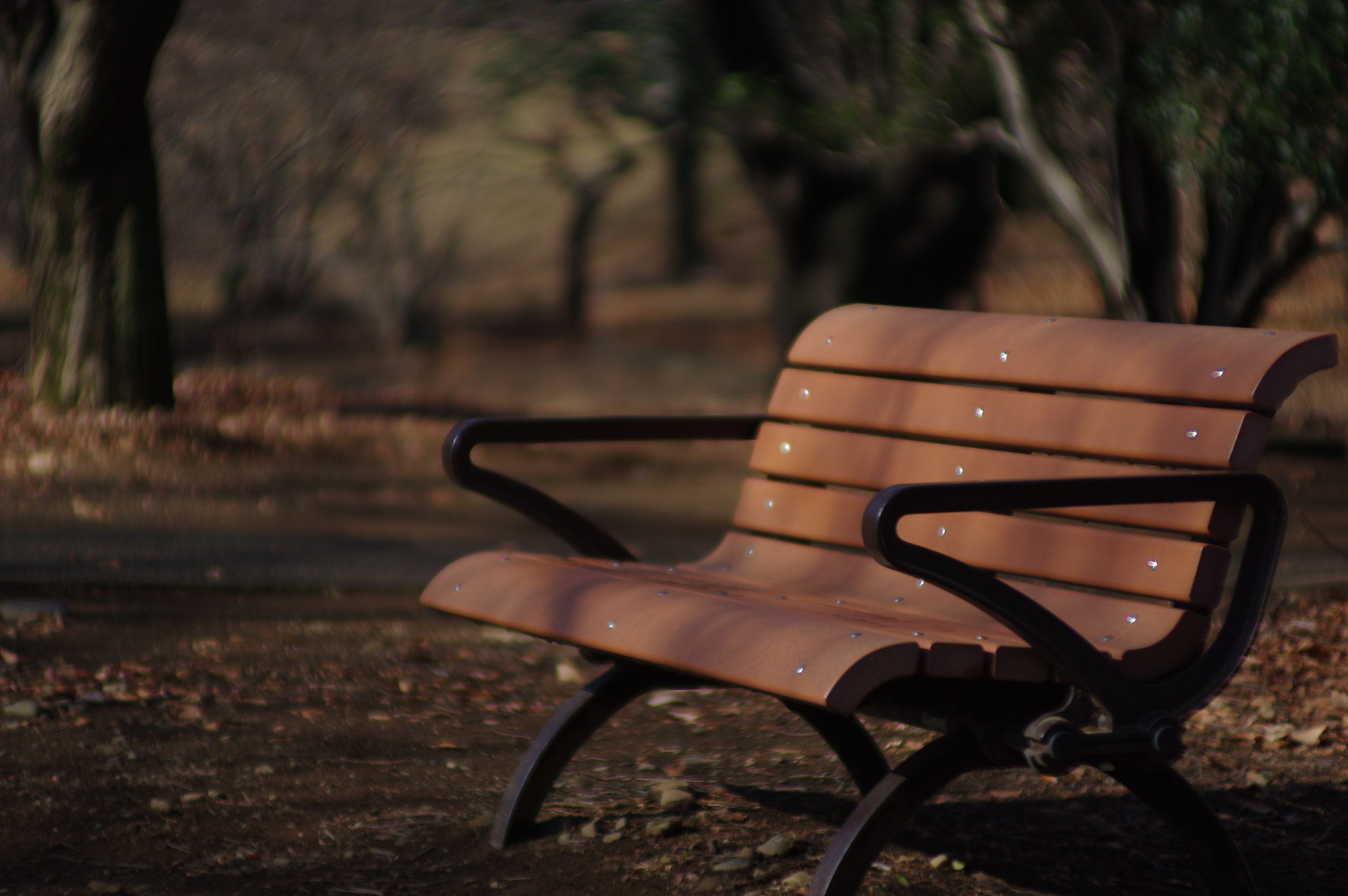 Pentax K-3 sample photo. The bench.... photography