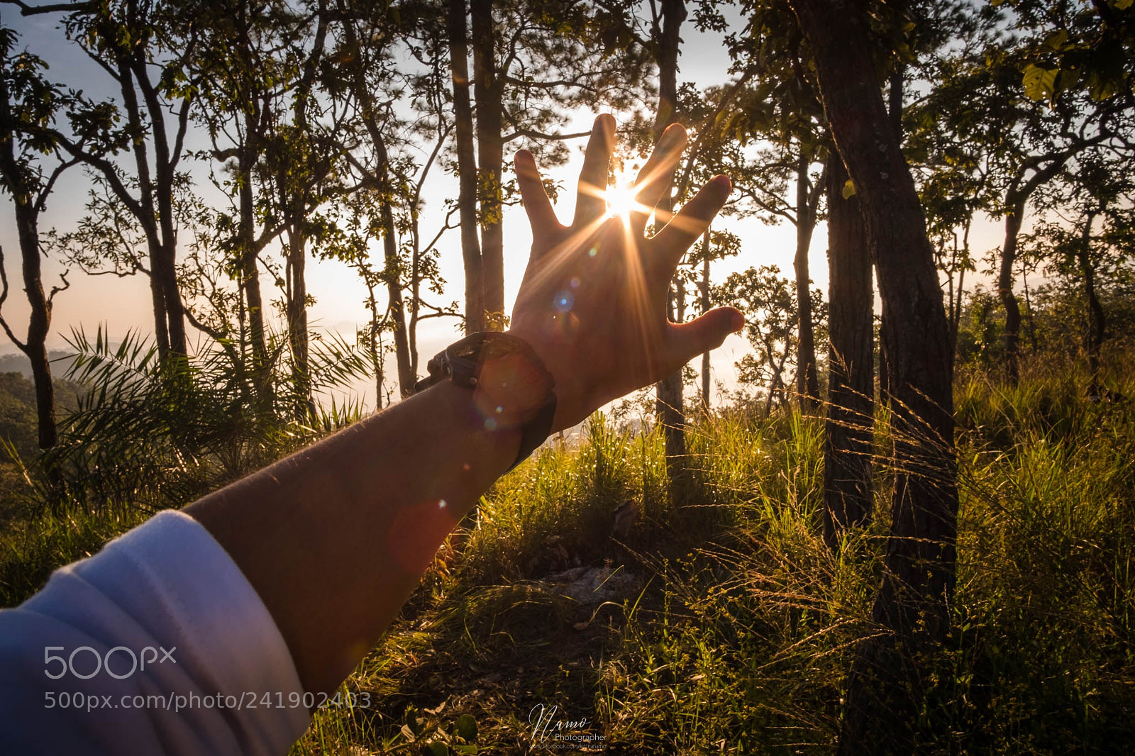 Fujifilm X-T10 sample photo. Untitled photography