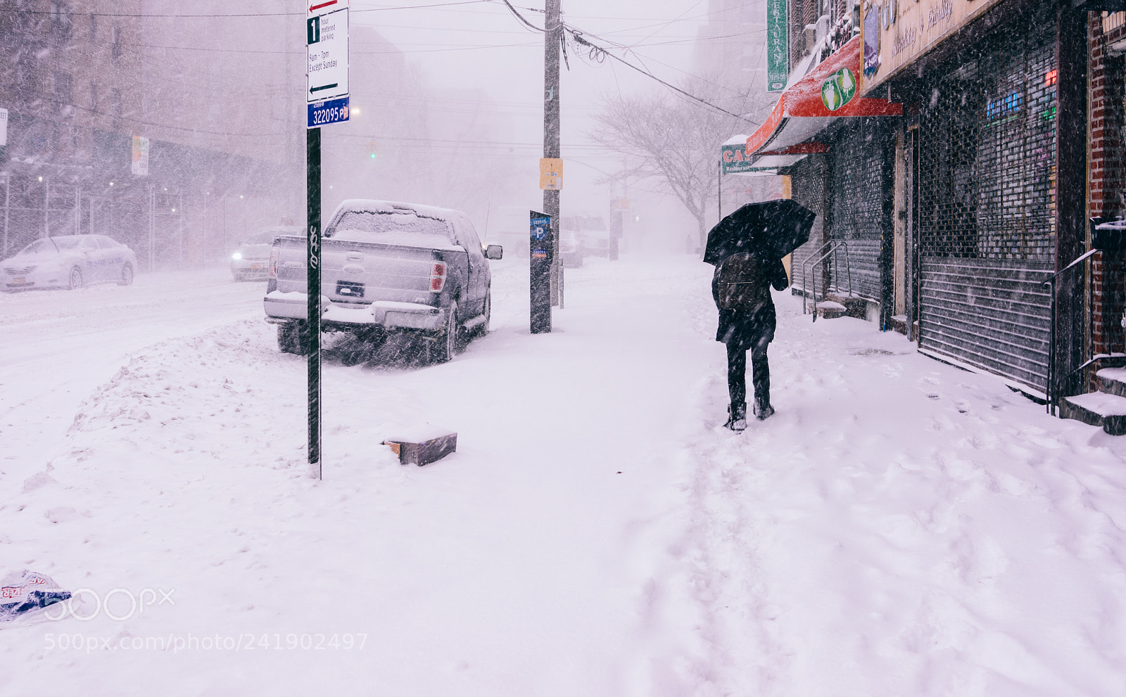 Sony a7R sample photo. The soul that sees photography