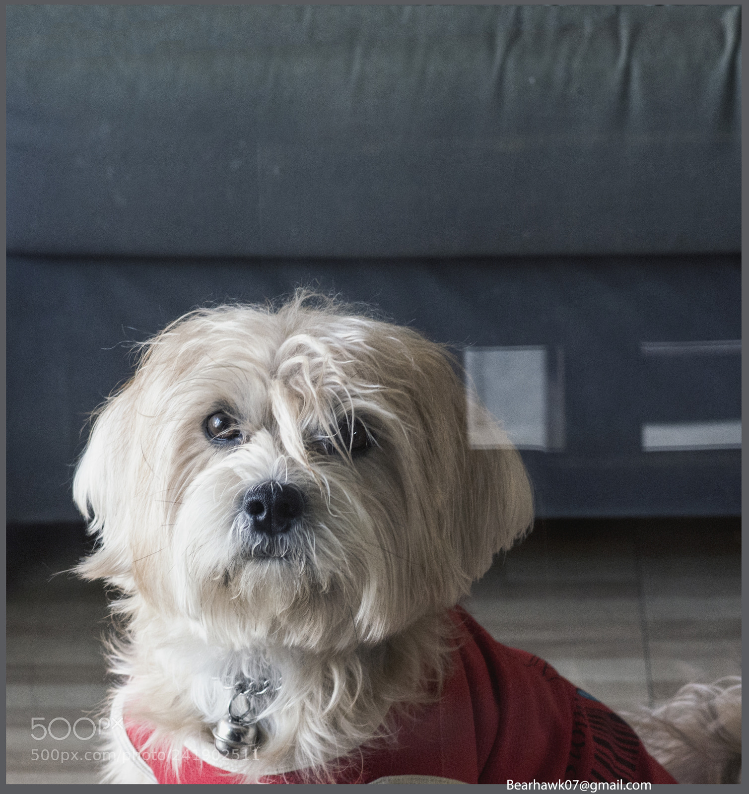 Nikon D7200 sample photo. 054.jpg photography
