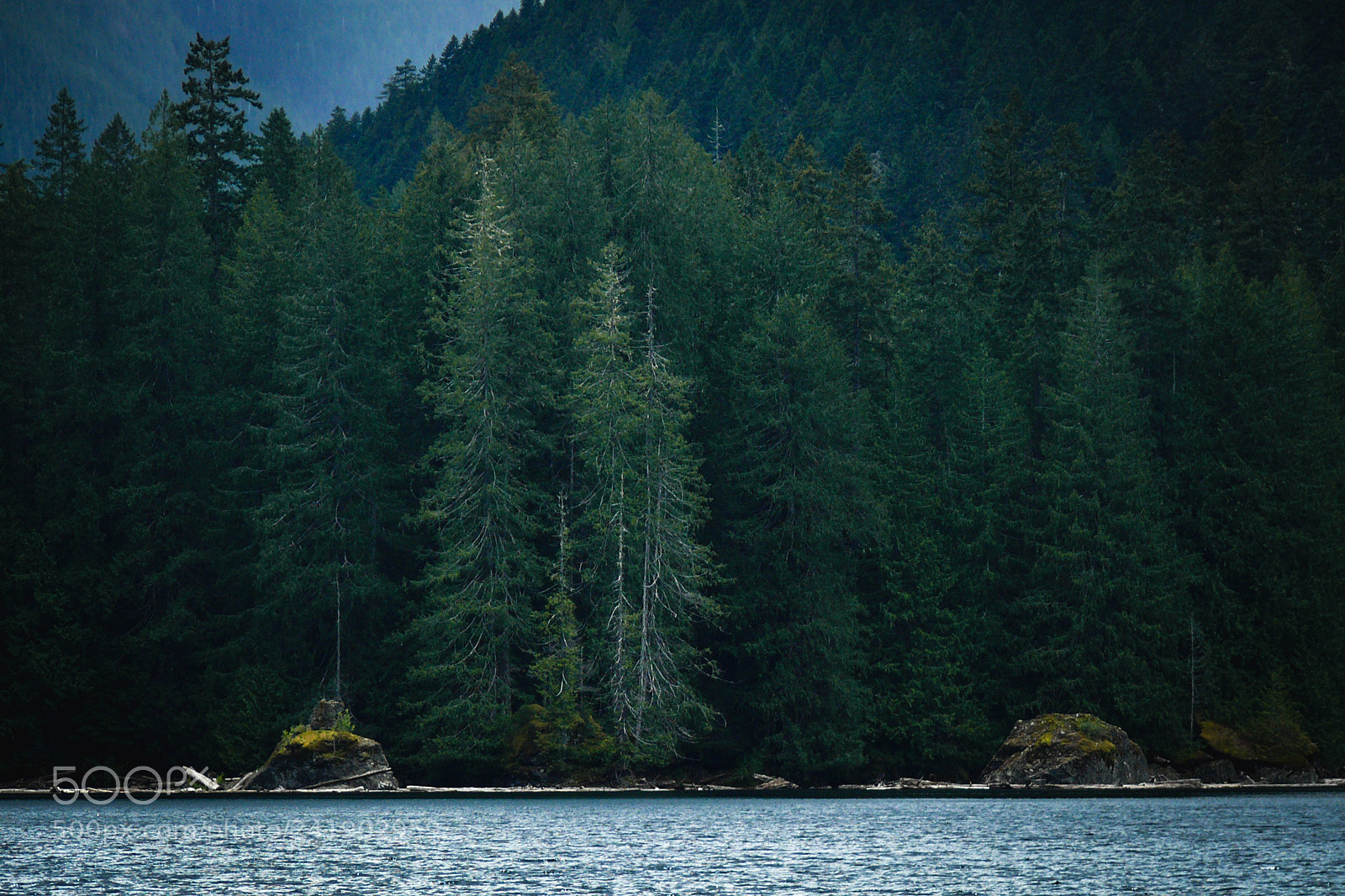 Panasonic DMC-FZ50 sample photo. Lena lake photography