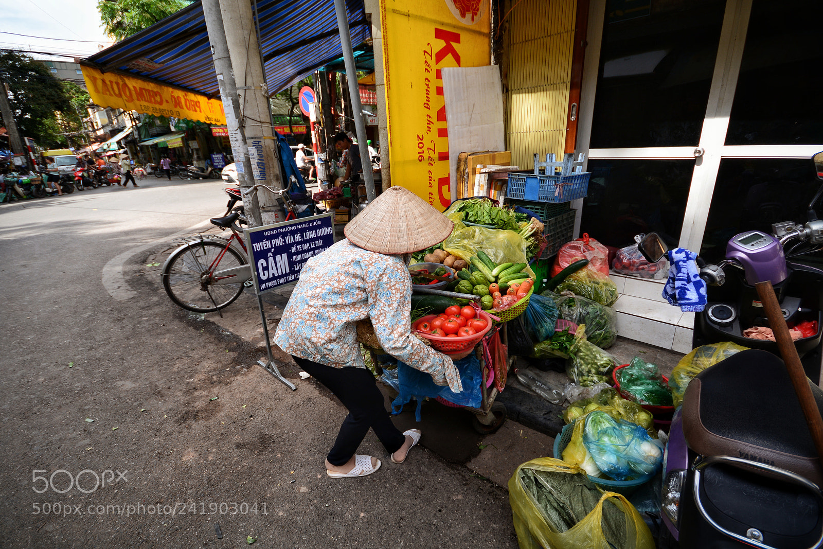 Nikon D7100 sample photo. Untitled photography
