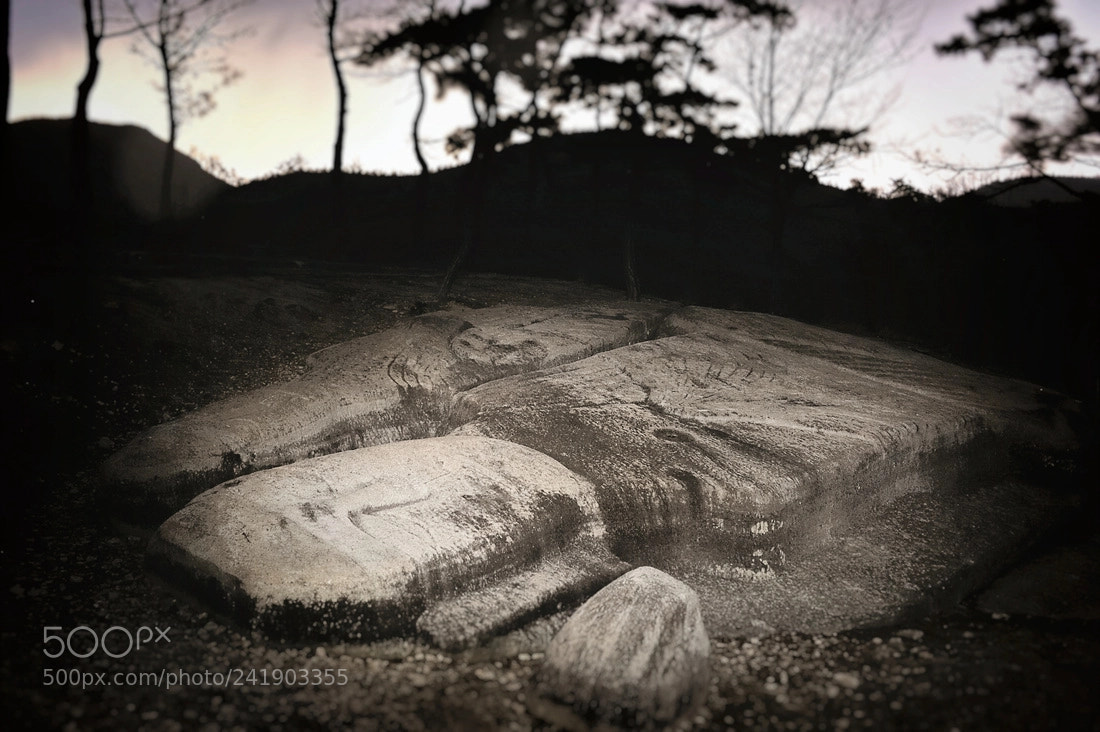 Nikon D700 sample photo. Sleeping buddha photography