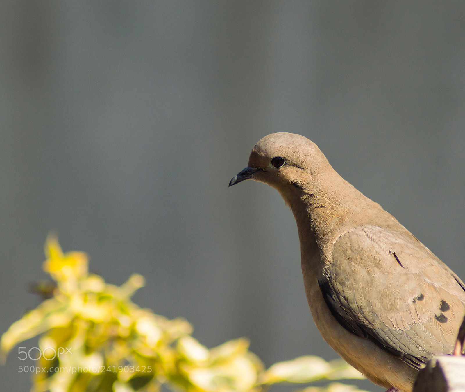 Nikon D3200 sample photo. Untitled photography