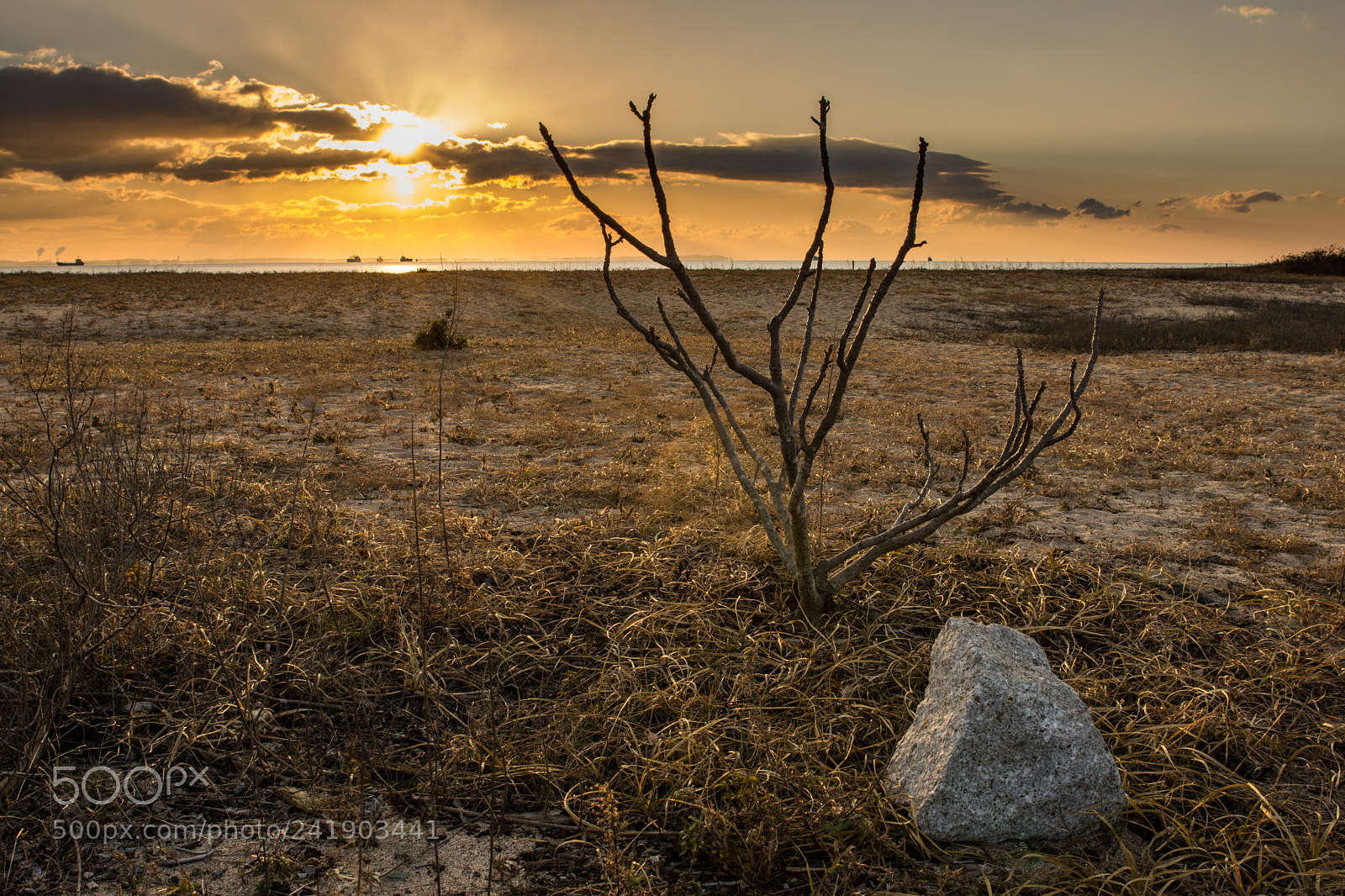 Nikon D7200 sample photo. Grassland photography