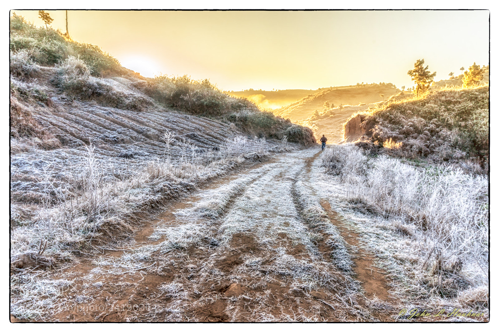 Sony a6300 sample photo. Frost road photography