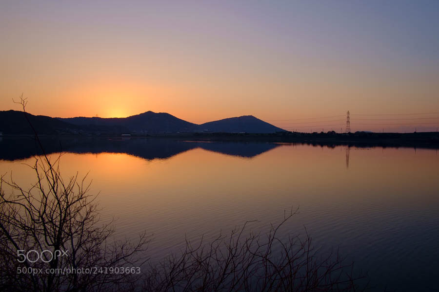 Fujifilm X-E1 sample photo. Morning pond photography