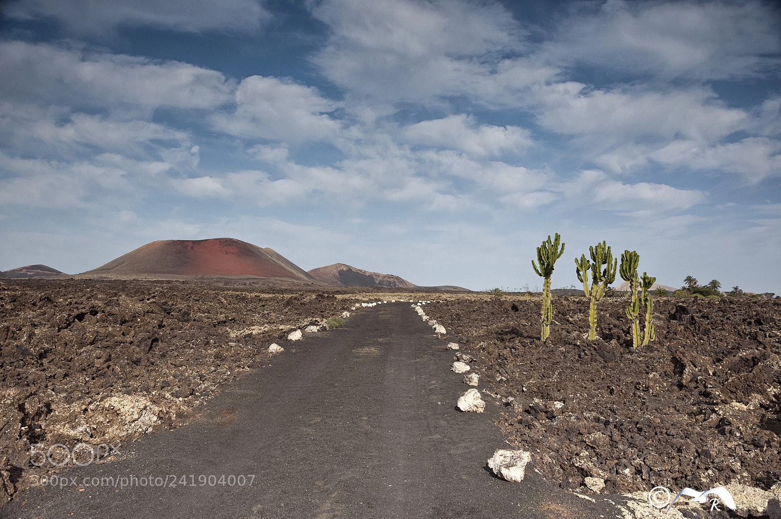 Nikon D90 sample photo. Lanzarote photography