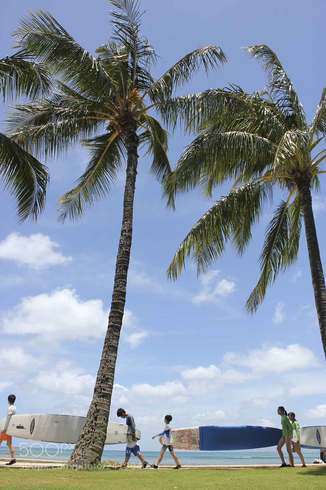 Canon EOS 550D (EOS Rebel T2i / EOS Kiss X4) sample photo. Preparing for surfing photography