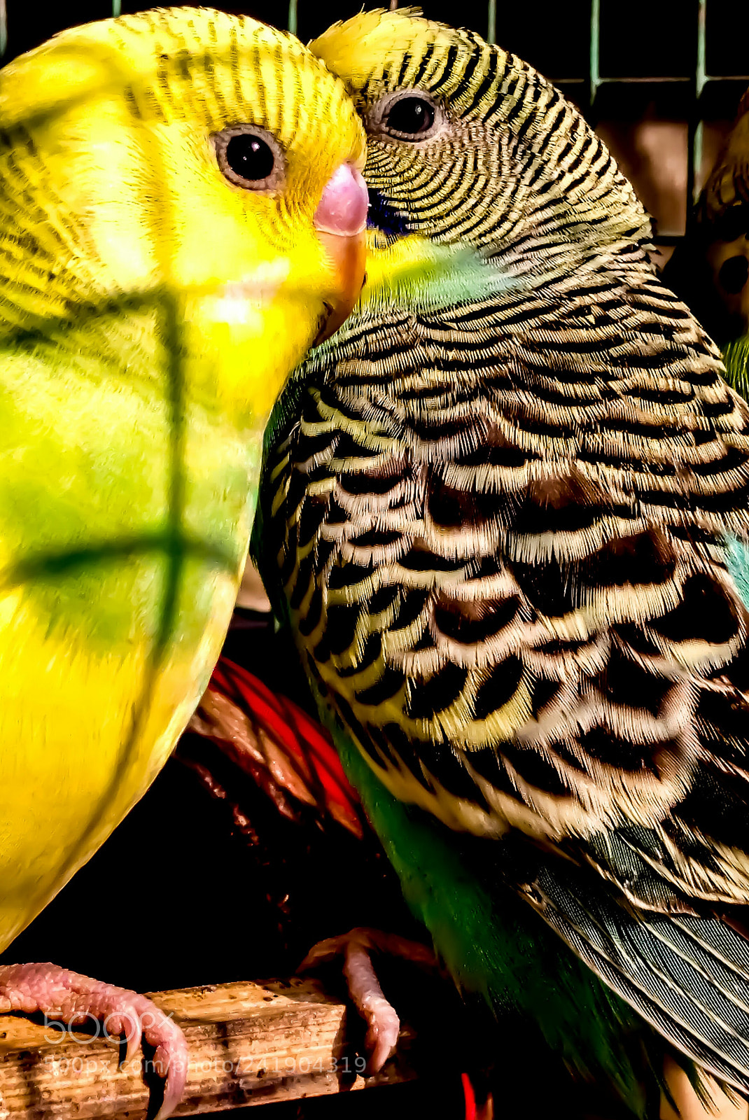 Lenovo K6 NOTE sample photo. Love! photography