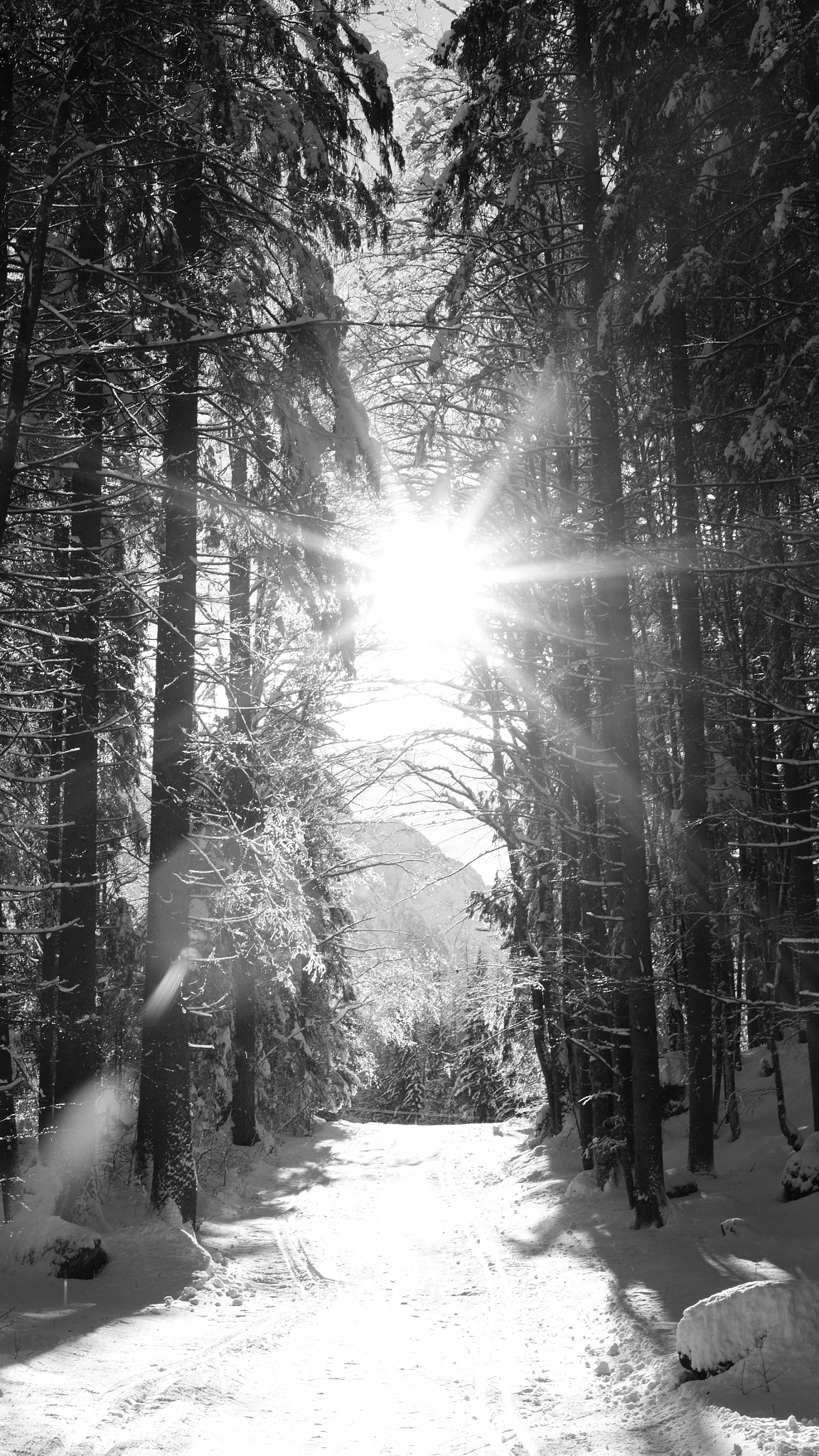 Nikon Df + Nikon AF-S Nikkor 50mm F1.8G sample photo. Planica photography