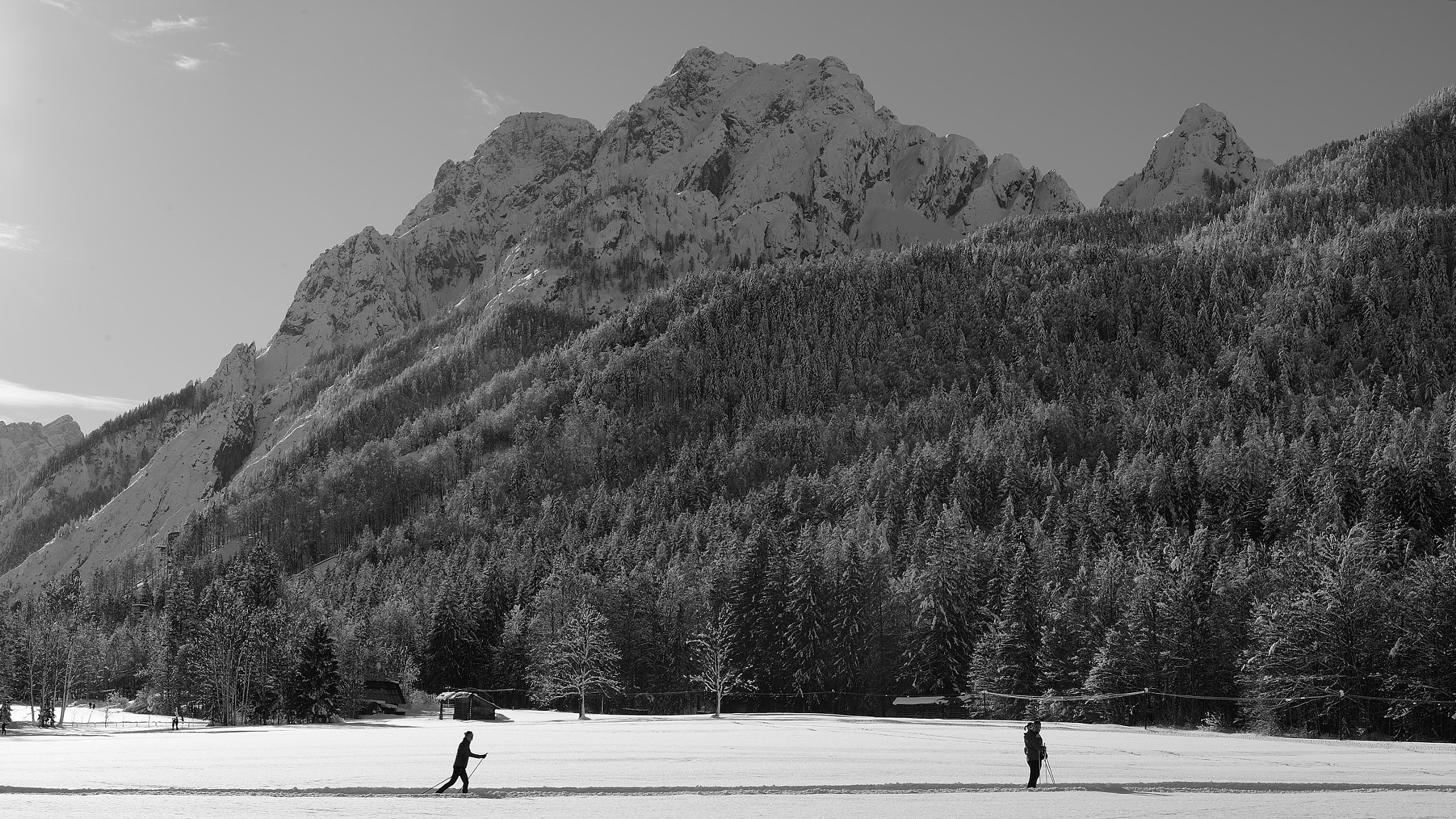 Nikon Df sample photo. Planica#cross-country skiing photography