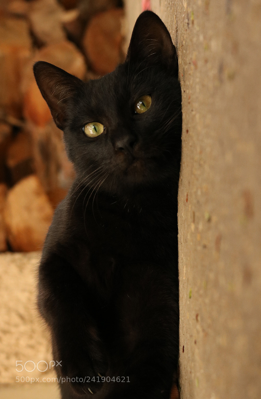 Canon EOS 750D (EOS Rebel T6i / EOS Kiss X8i) sample photo. Afternoon break :) photography