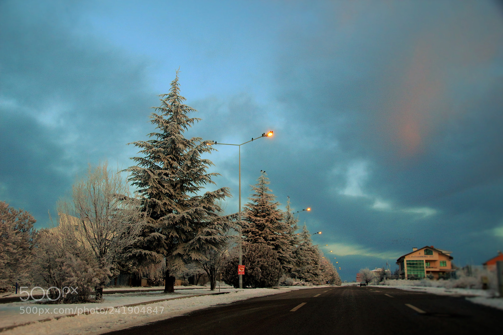 Canon EOS 100D (EOS Rebel SL1 / EOS Kiss X7) sample photo. Winter colors............ photography