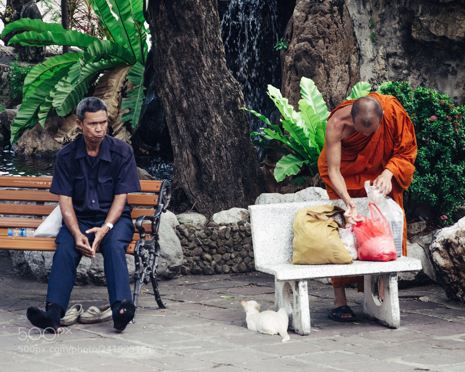 Nikon D7000 sample photo. A monk, a guy photography