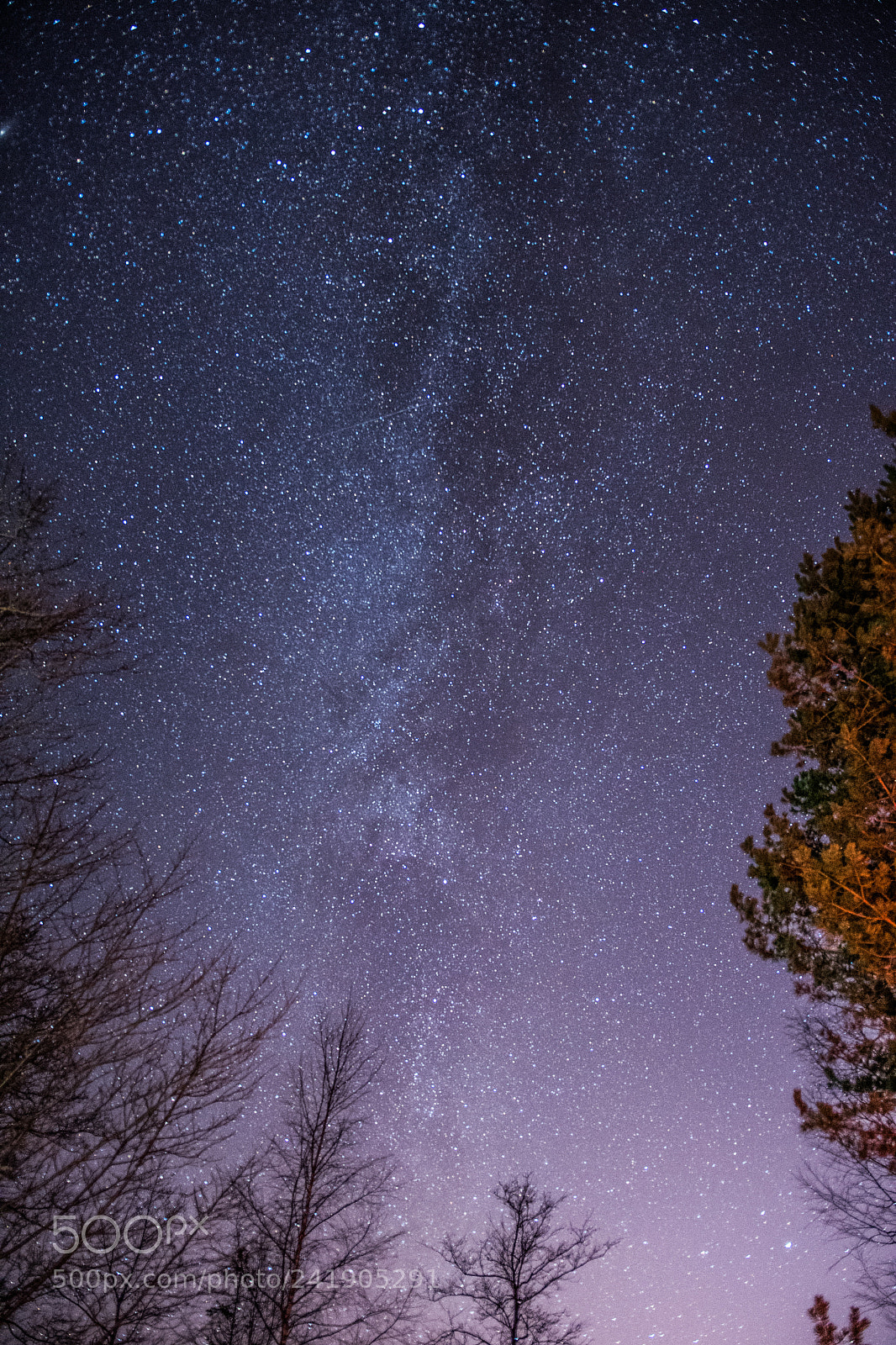 Nikon D500 sample photo. Dpe photography