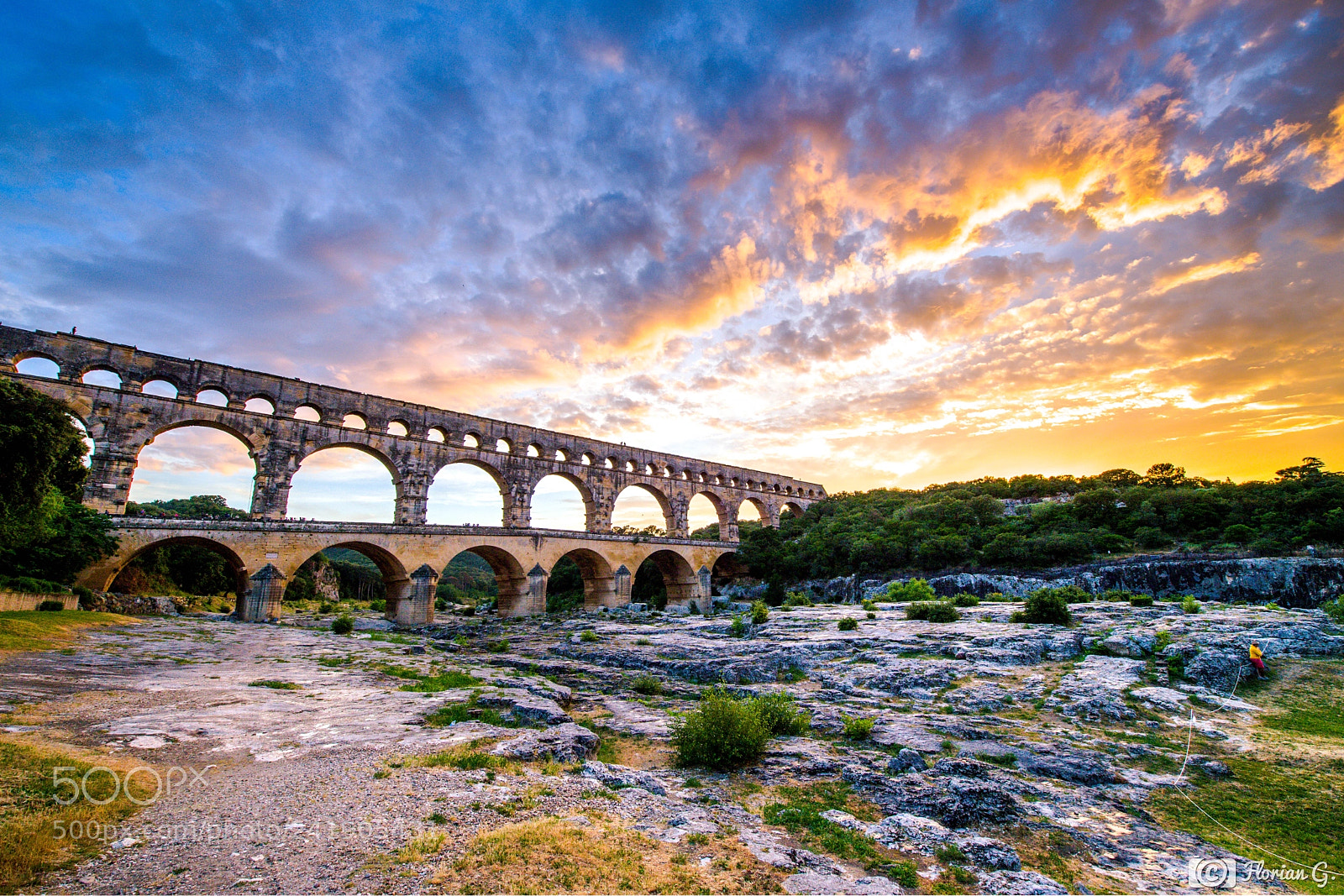 Nikon D5 sample photo. F erie pont du photography