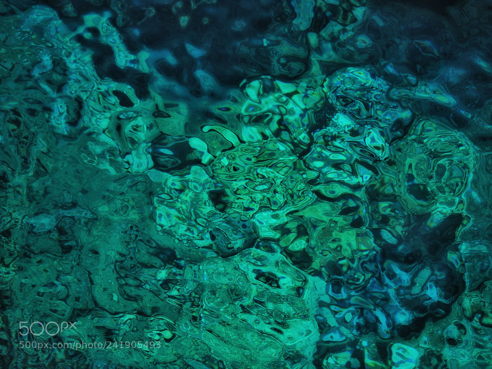 Olympus OM-D E-M10 II sample photo. Sea bottom in a photography